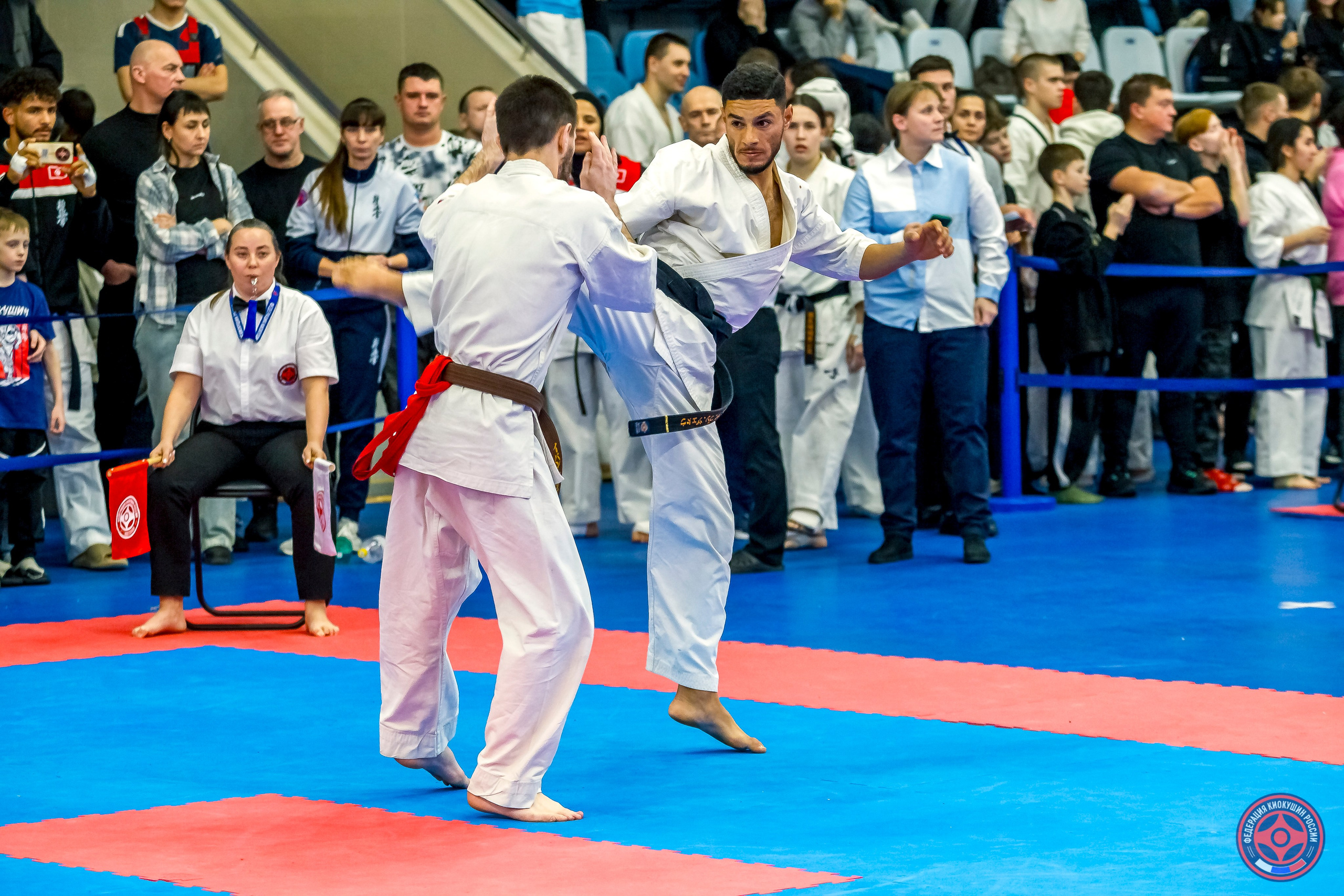 Международный турнир по киокушин «Открытый кубок Seiken». Репортажная съемка в Москве и области. Анималистика