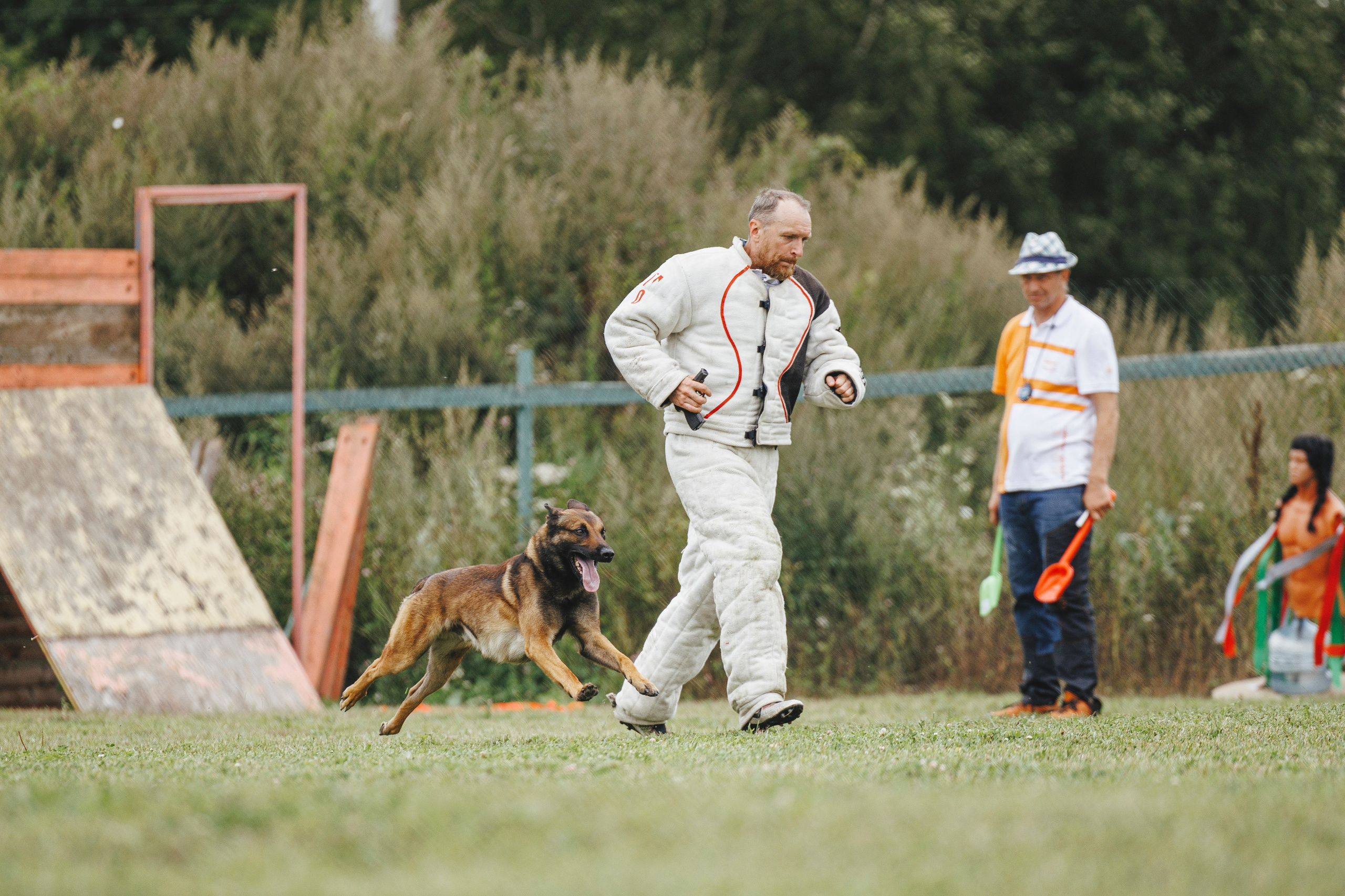 08.08.25-10.08.25 ЧР по мондьорингу г. Вологда. Фотограф-анималист Анна Маринич