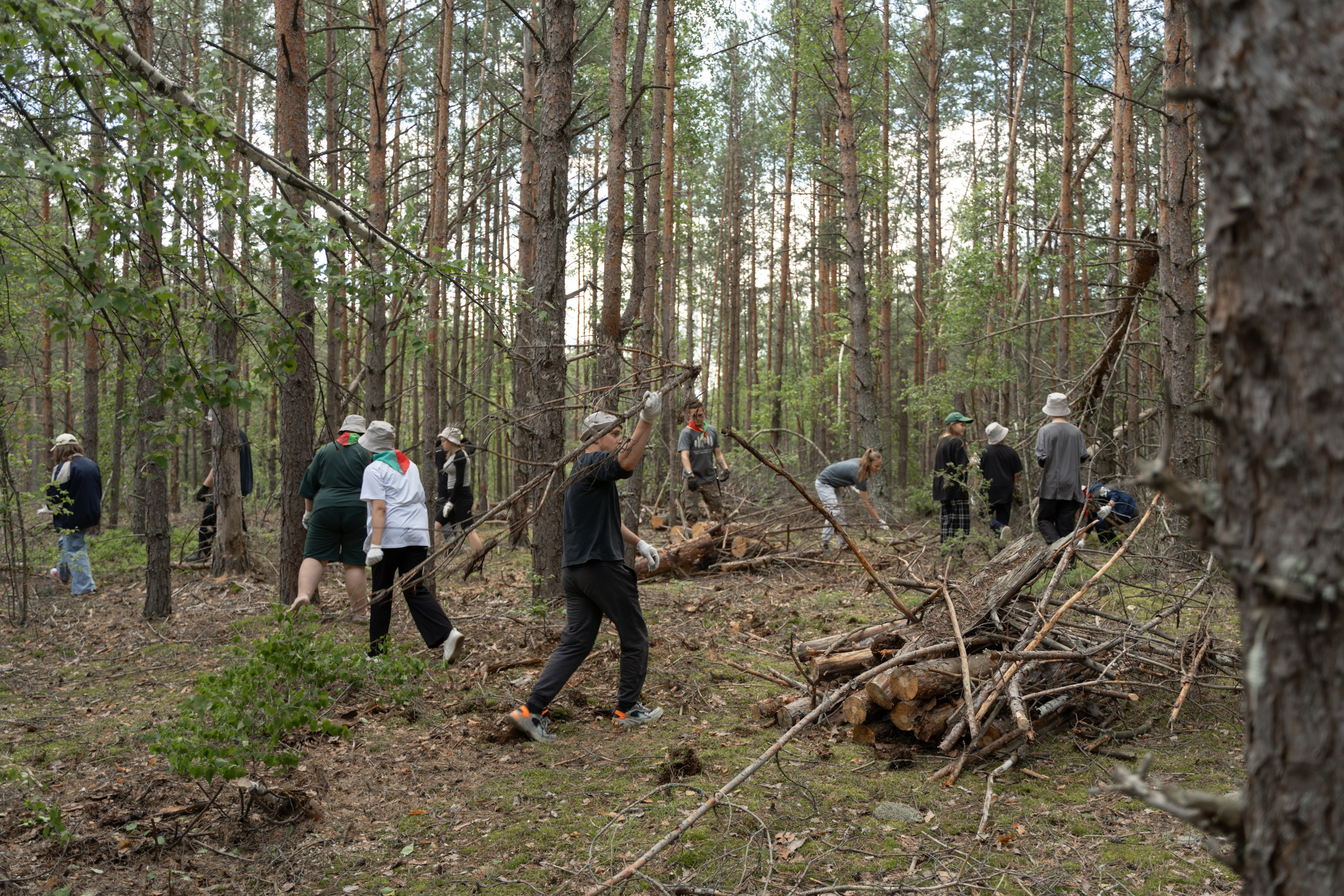 Эко-сборы добровольцев «О! Пушка» в национальном парке «Мещерский» 2024. Фотограф Надежда Погребняк | Рязань | Москва