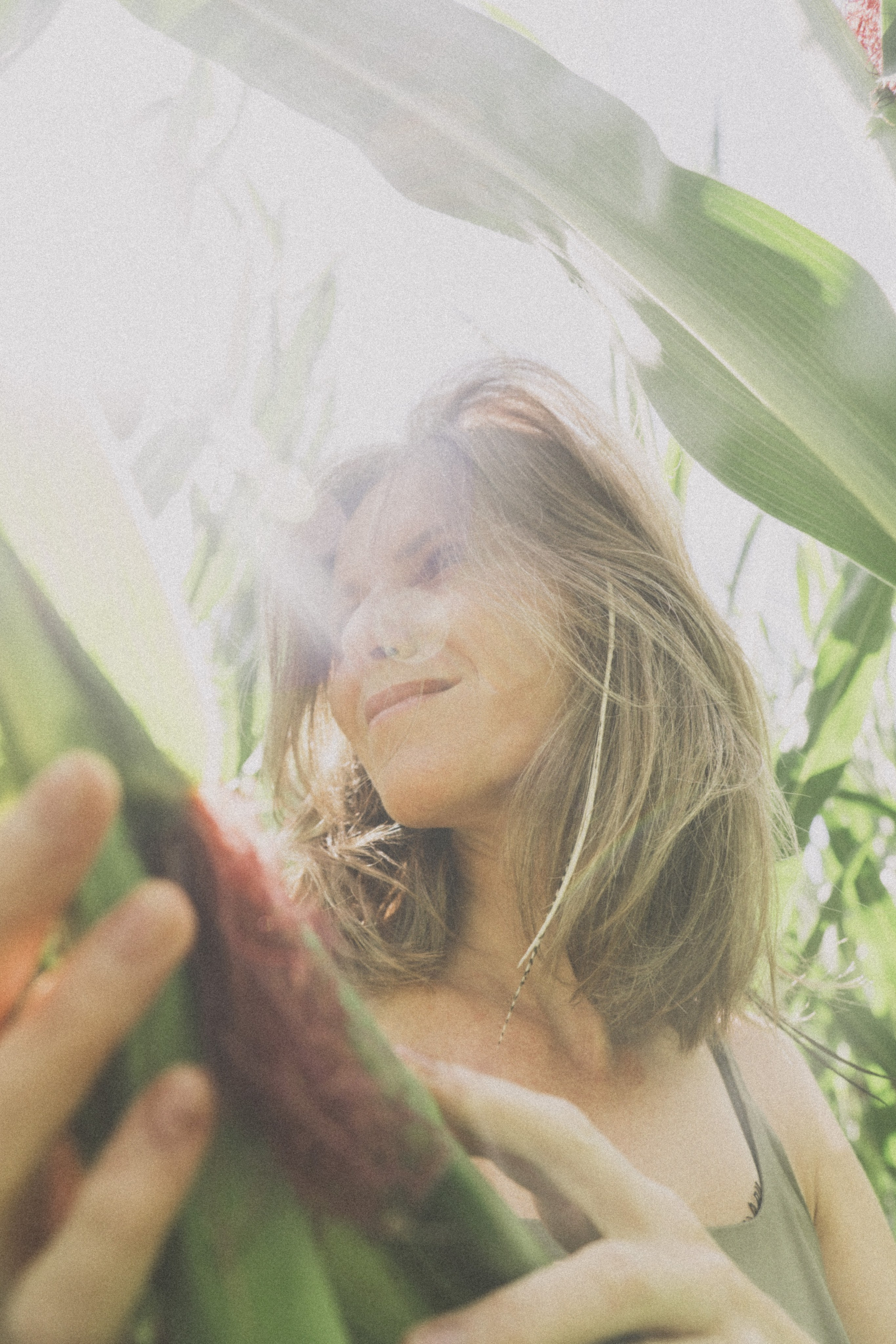 В кукурузном поле. Семейный фотограф Москва и Домодедово Ольга Игнатова