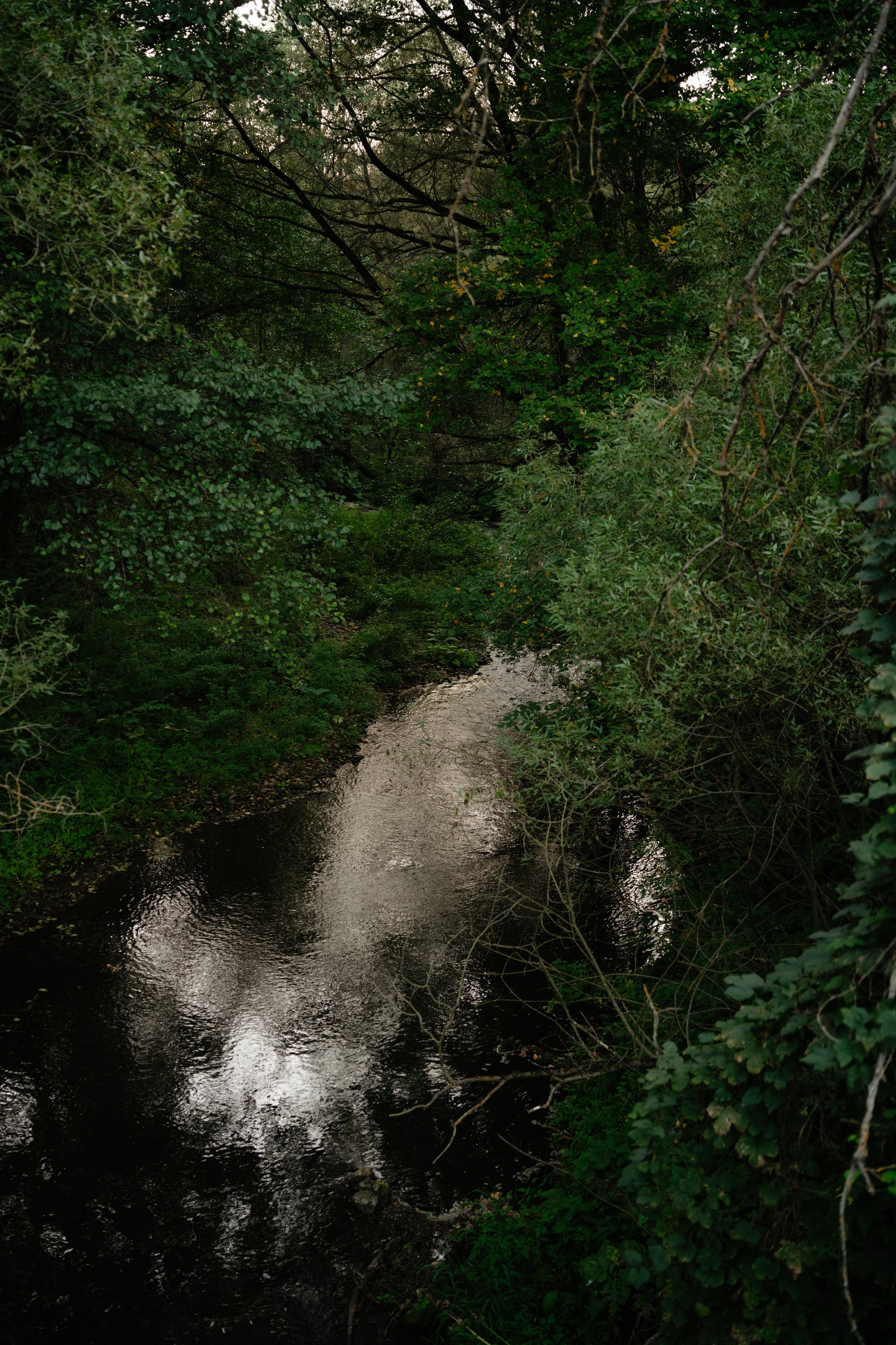 Дугна. Vlad Trykov