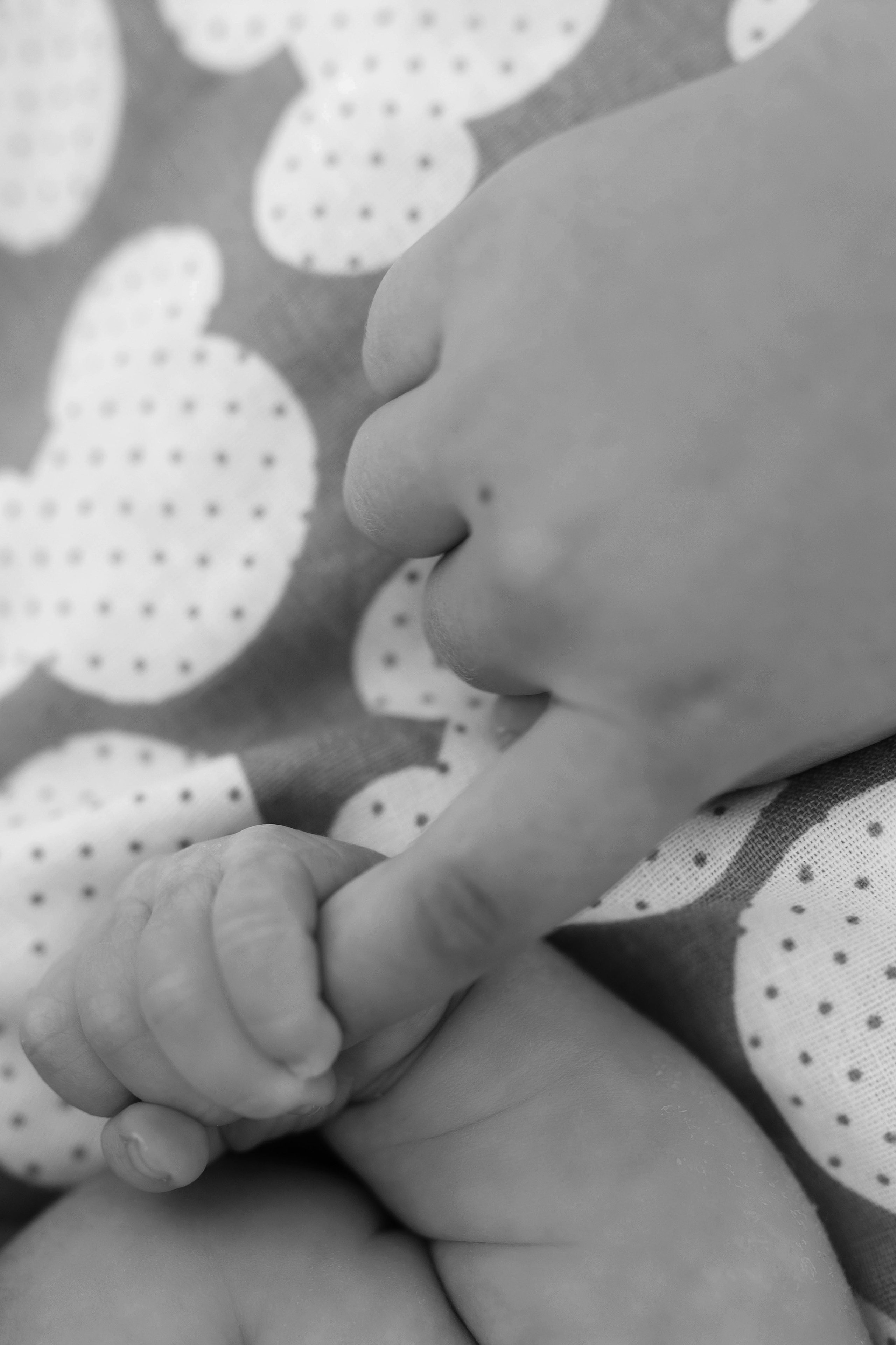 фотограф новорожденных