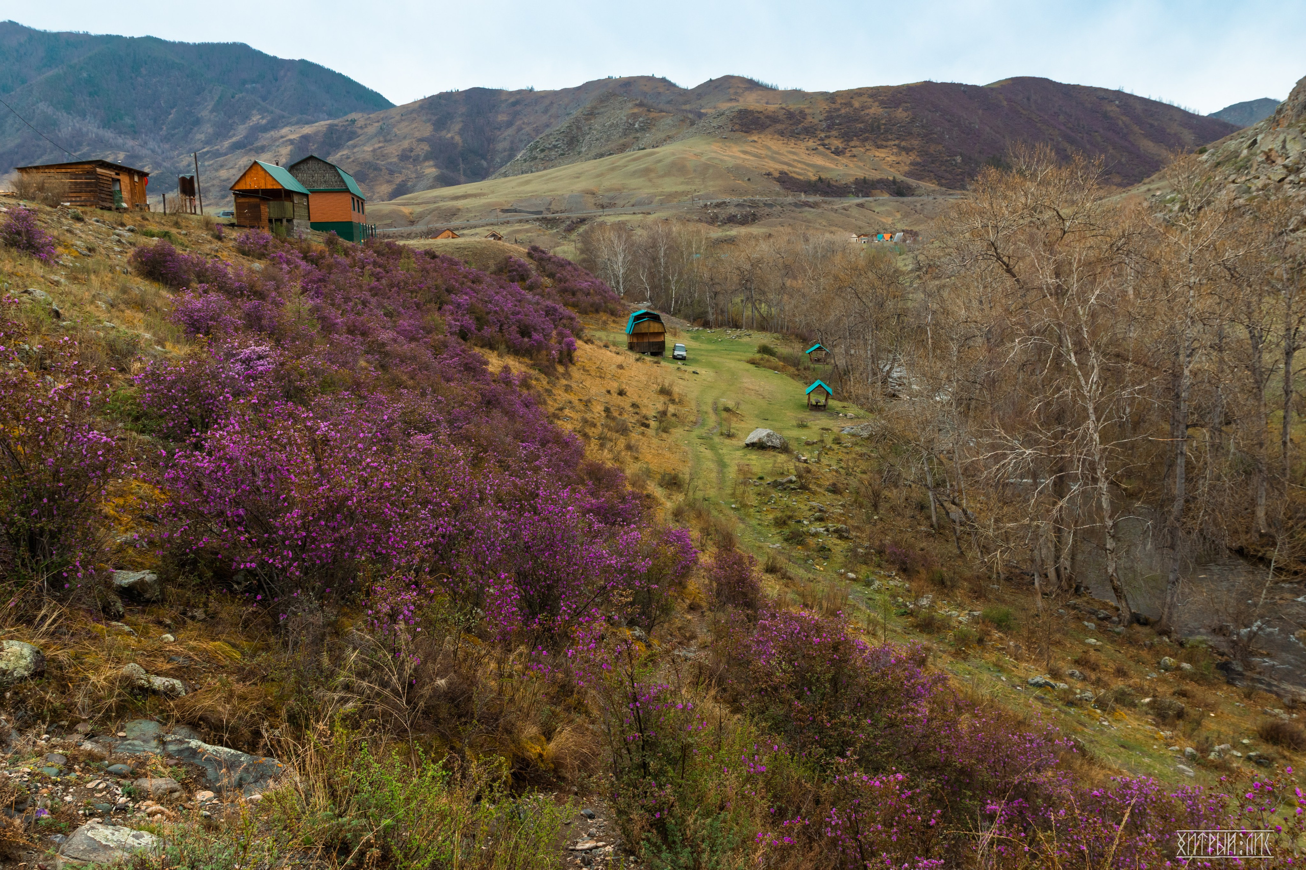 Алтай. Фотограф-путешественник Самойлов Максим «Sly Fox»