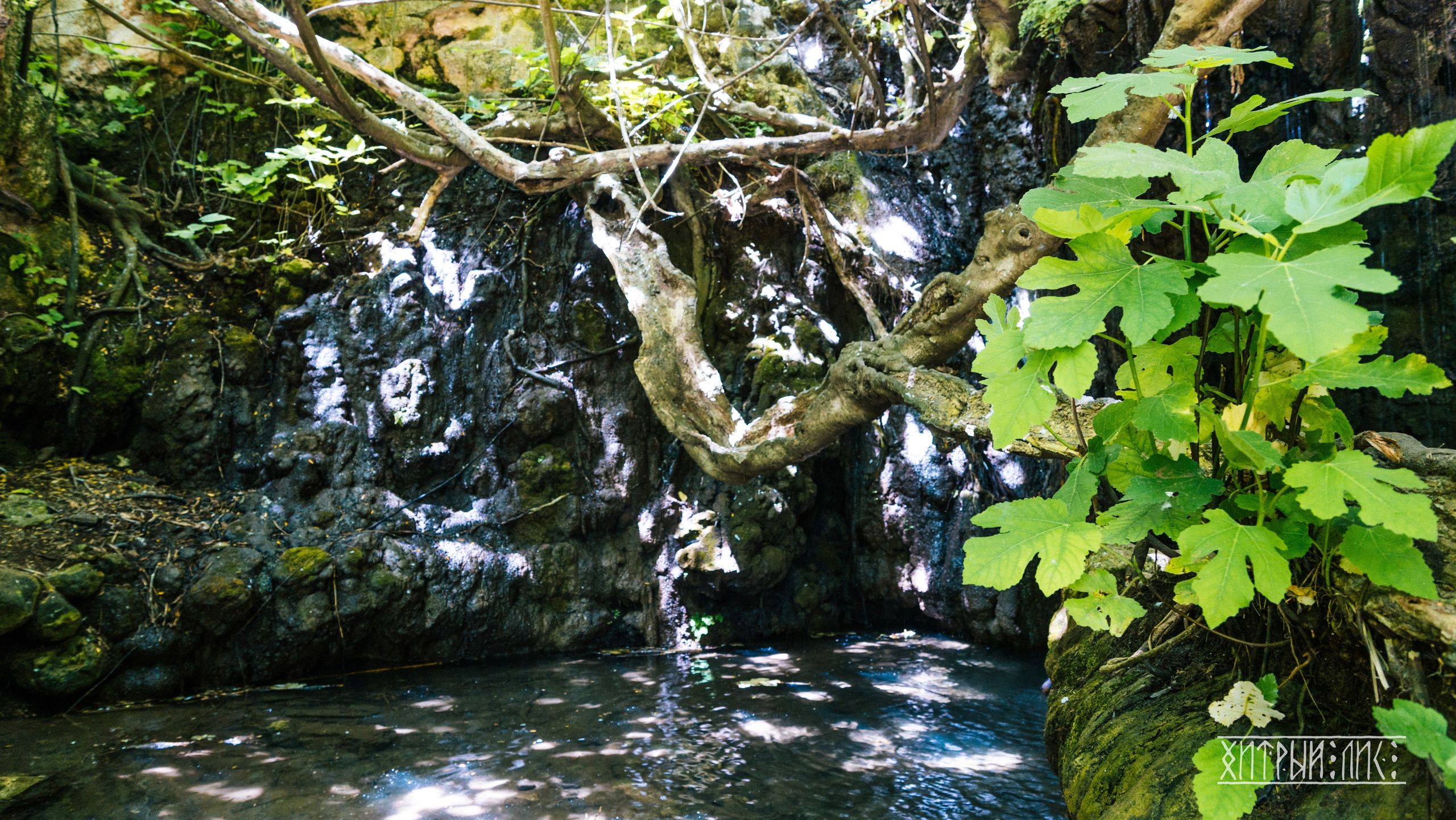 Кипр. Фотограф-путешественник Самойлов Максим «Sly Fox»