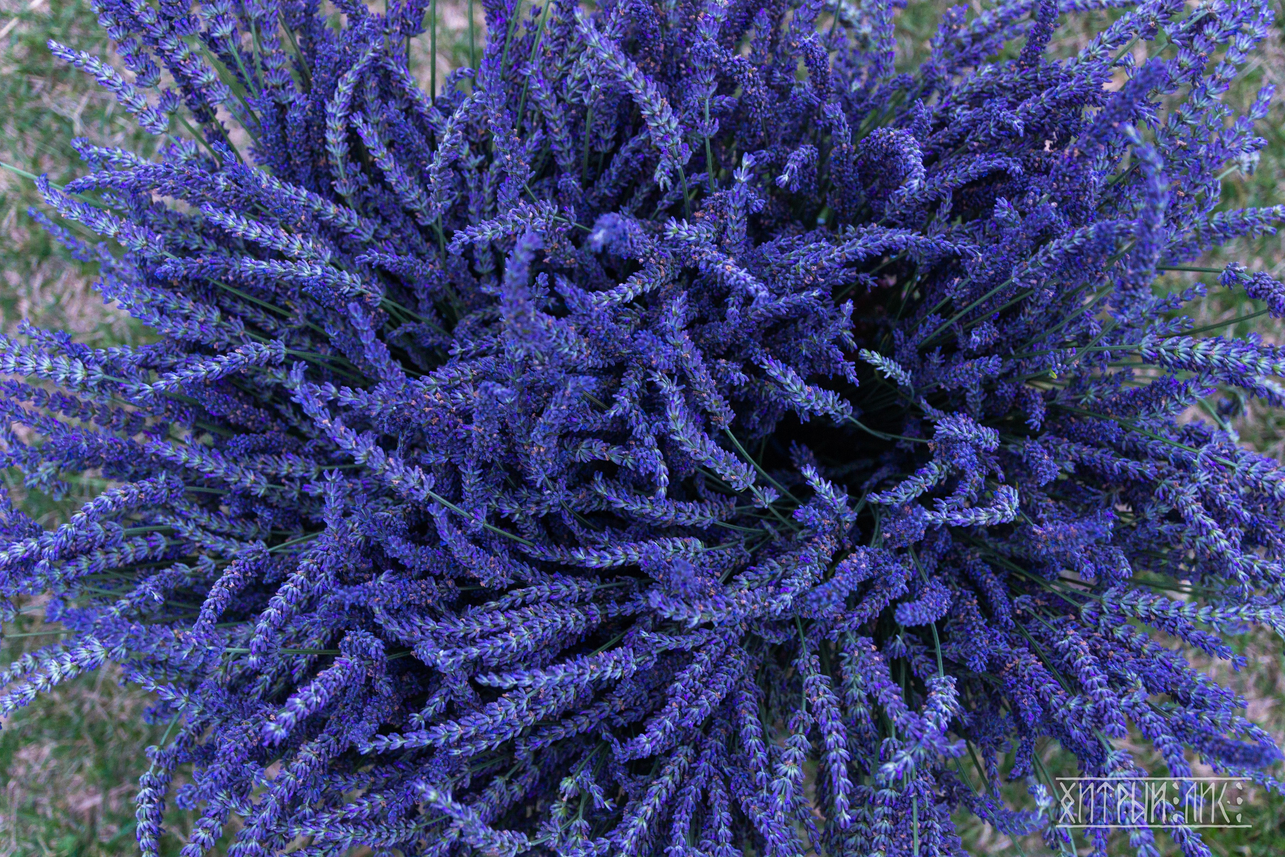 Беларусь. Фотограф-путешественник Самойлов Максим «Sly Fox»