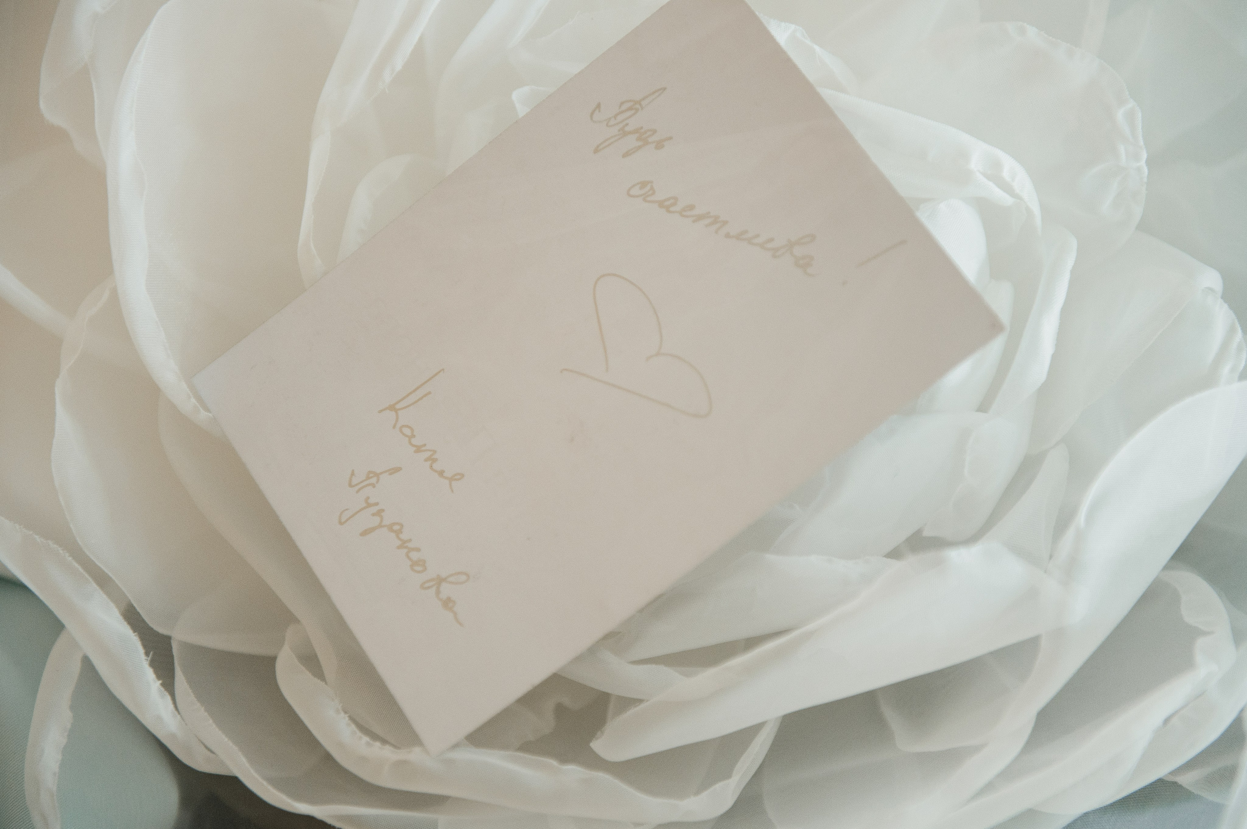 Шлейф для енота. Свадебный фотограф Саша Базенко