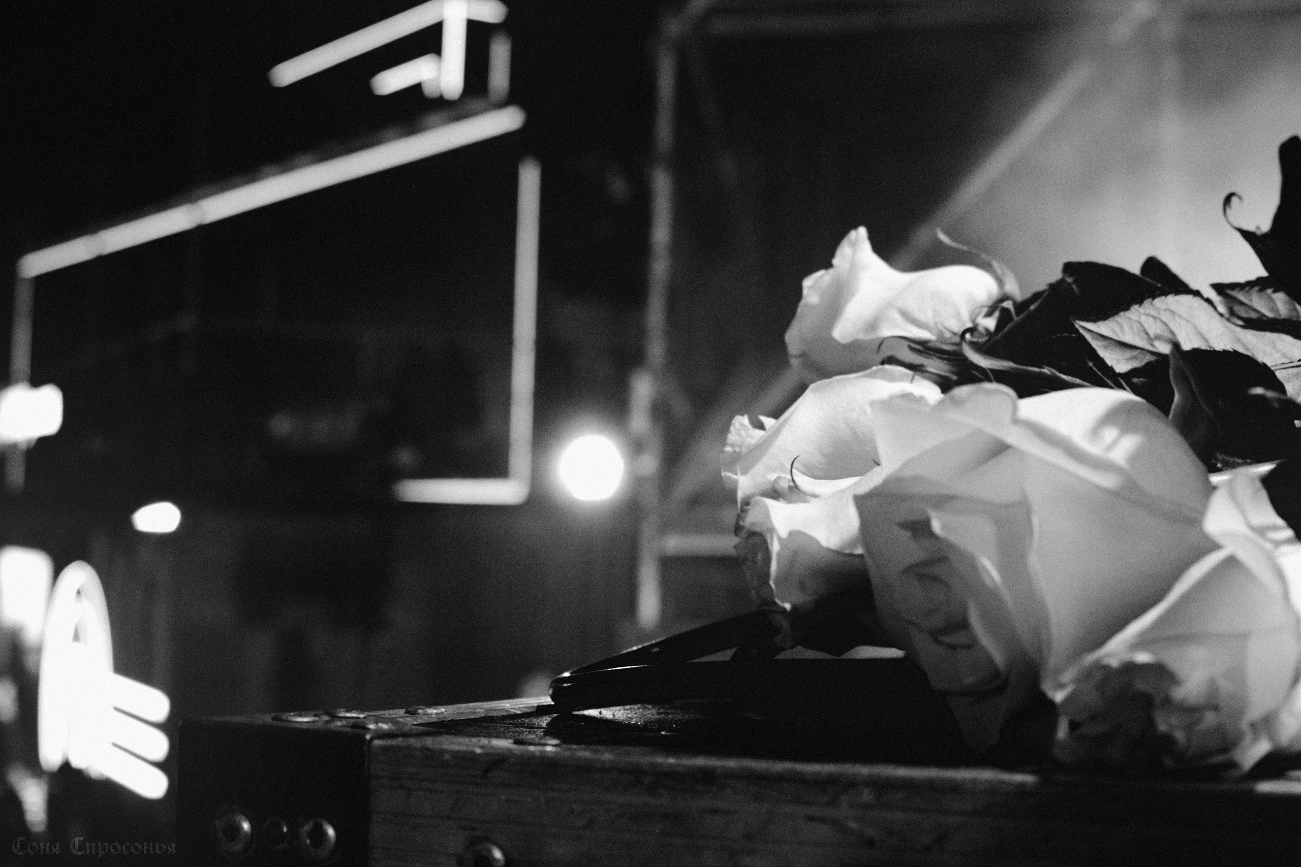 Концерт Буерака. Концертный и портретный фотограф в Москве Соня Спросонья