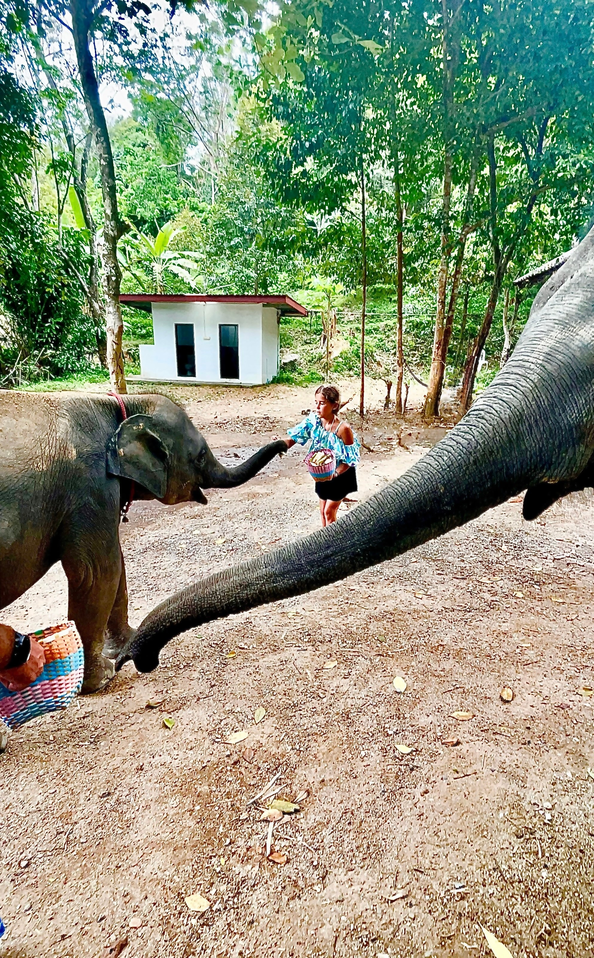 Фотограф Москва. Фотограф и художник в Москве Евгения Нюнина