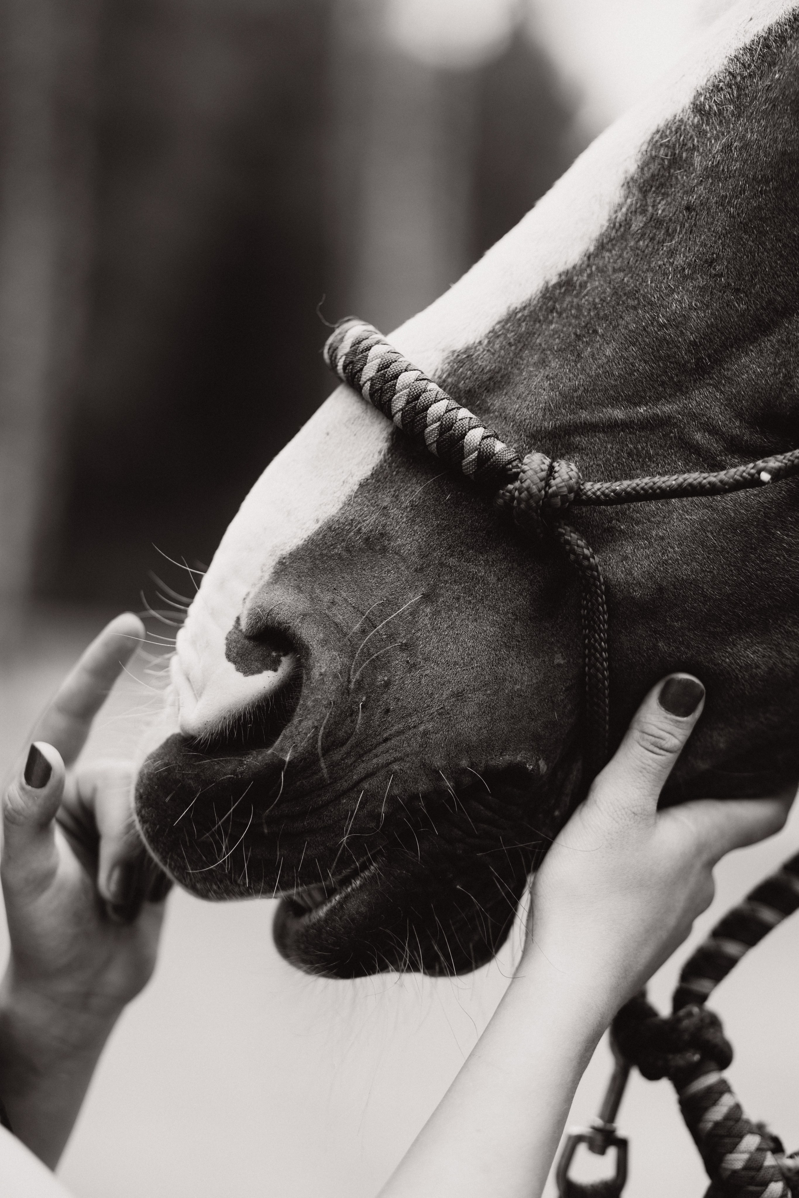 Иваново детство. Семейный свадебный фотограф Екатеринбург Первоуральск Шарнина Алёна