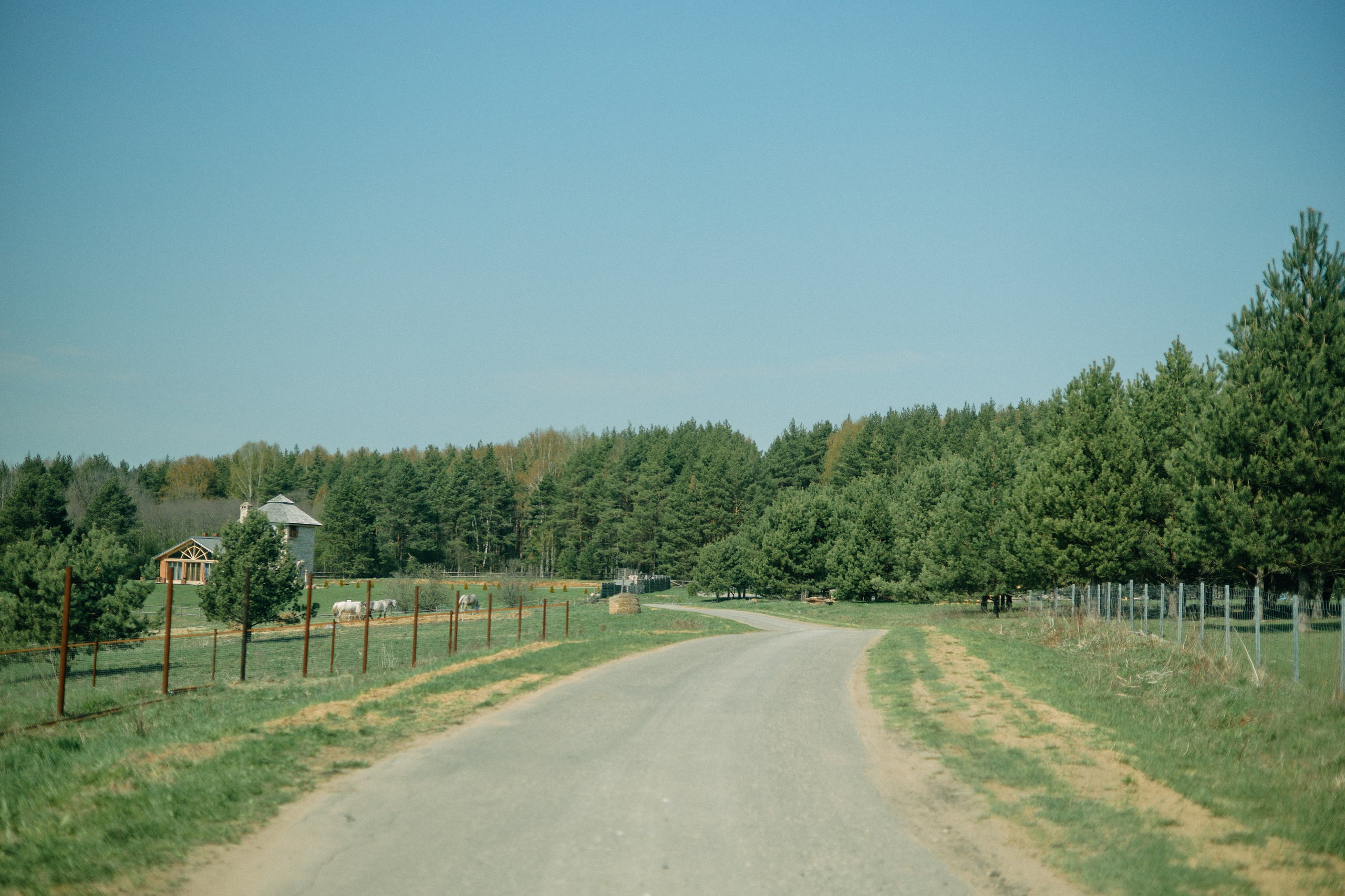 Бутик-отель Поле летом. Профессиональный Фотограф во Владимире, в Москве и в Суздале — Полина Романычева