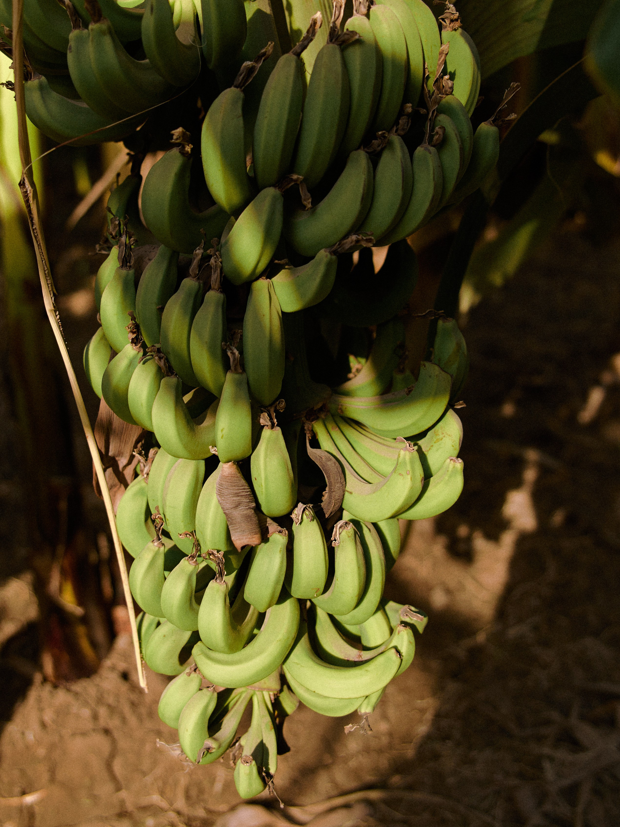 Природа. Jorgis Talè — photographer, kind person, teacher of arts and other mag