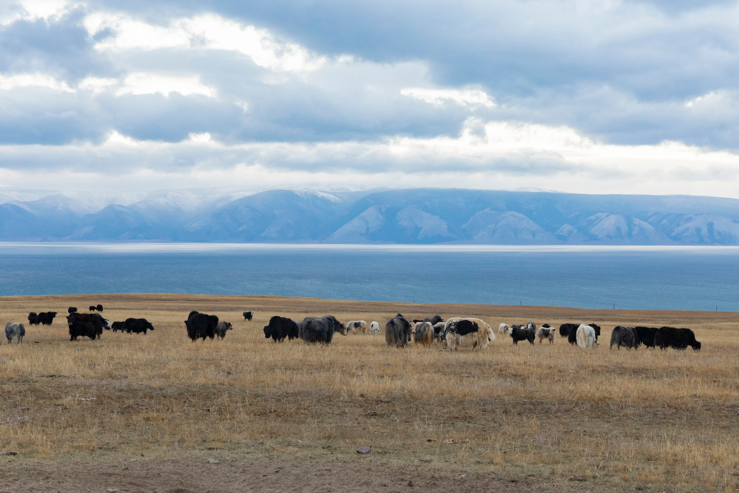 Ольхон в октябре. Марина Захарова — Фотограф. Москва / Marina Zakharova — Photographer