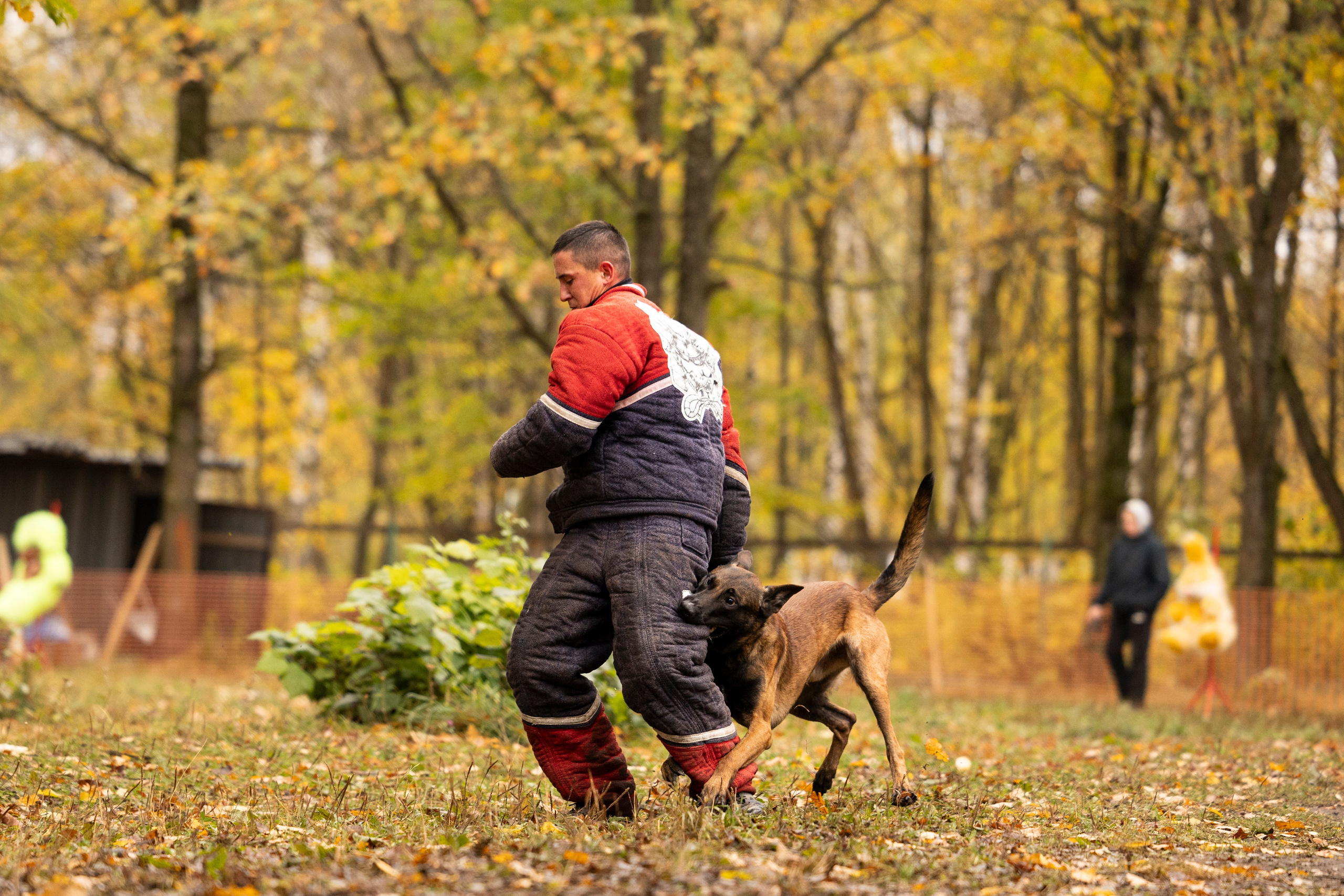 Соревнования по Мондьорингу г. Вологда. Фотограф-анималист Анна Маринич