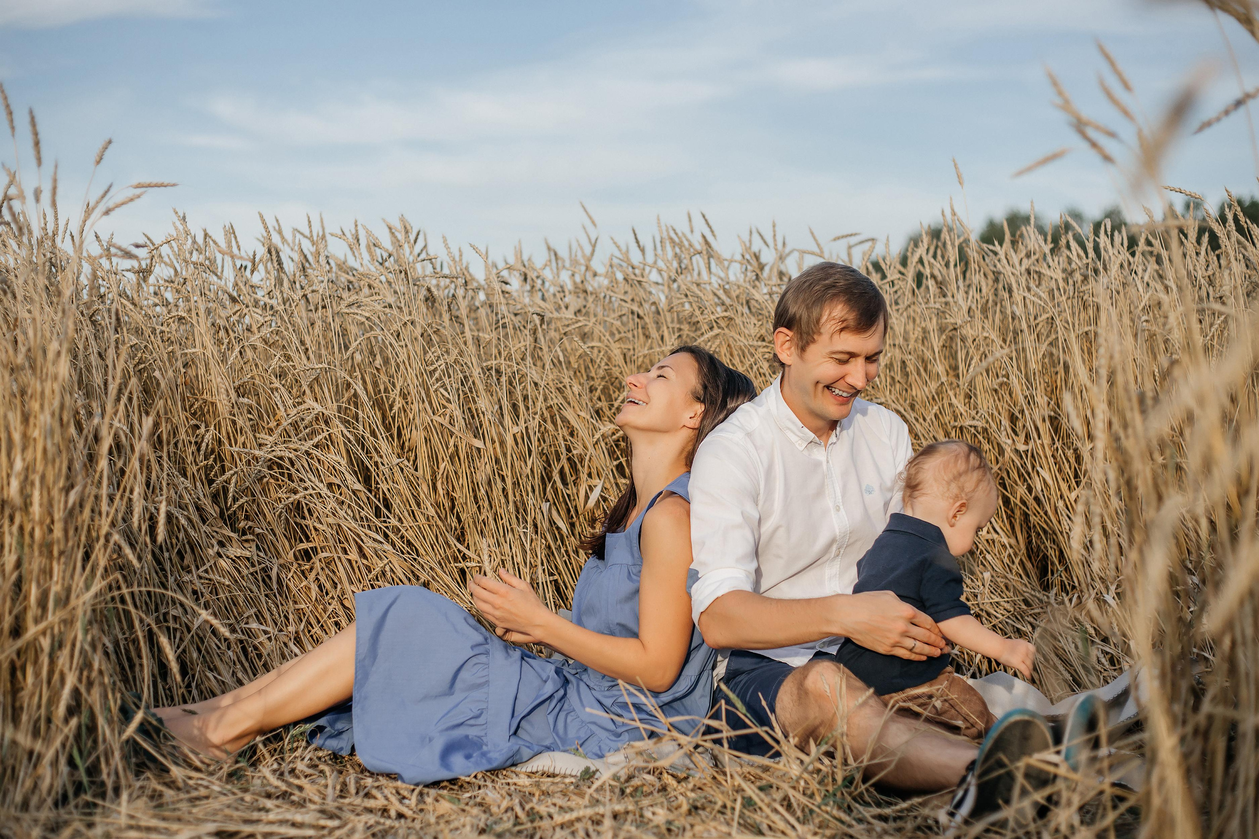 Пшеница на закате. Фотограф Красноярск Рукосуева Катерина
