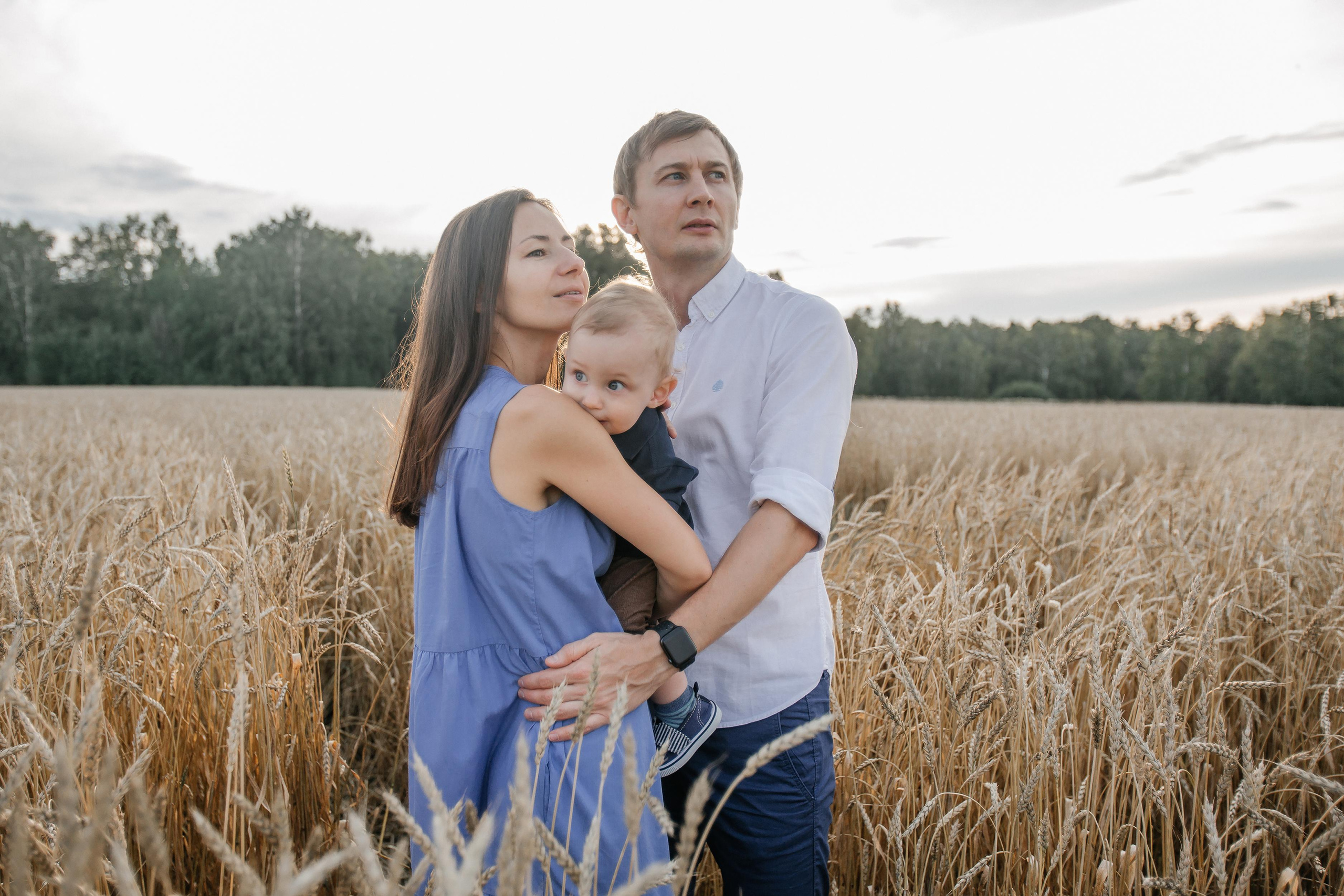 Пшеница на закате. Фотограф Красноярск Рукосуева Катерина