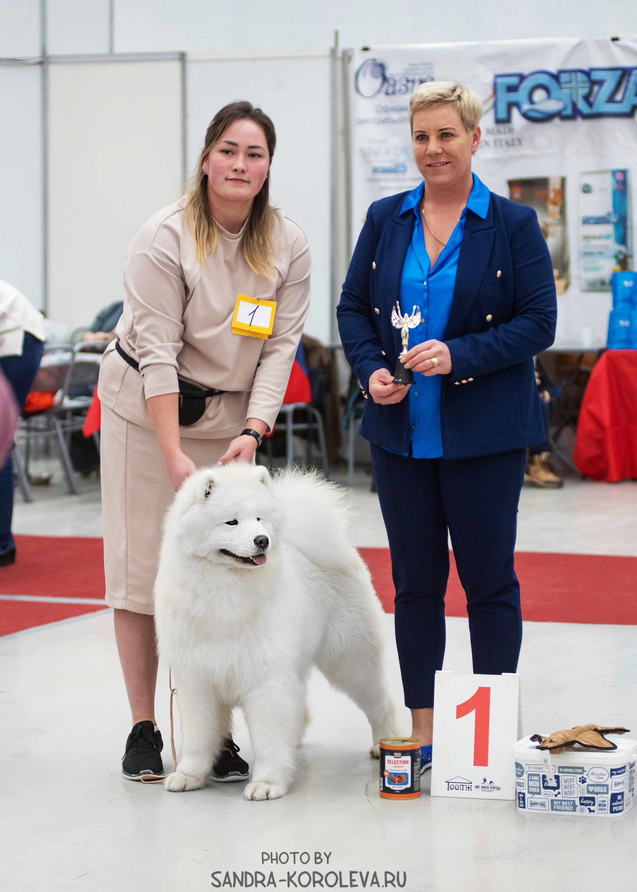 Выставка собак тюмень 10.12.2022. Дог-фотограф в Тюмени Александра Королева