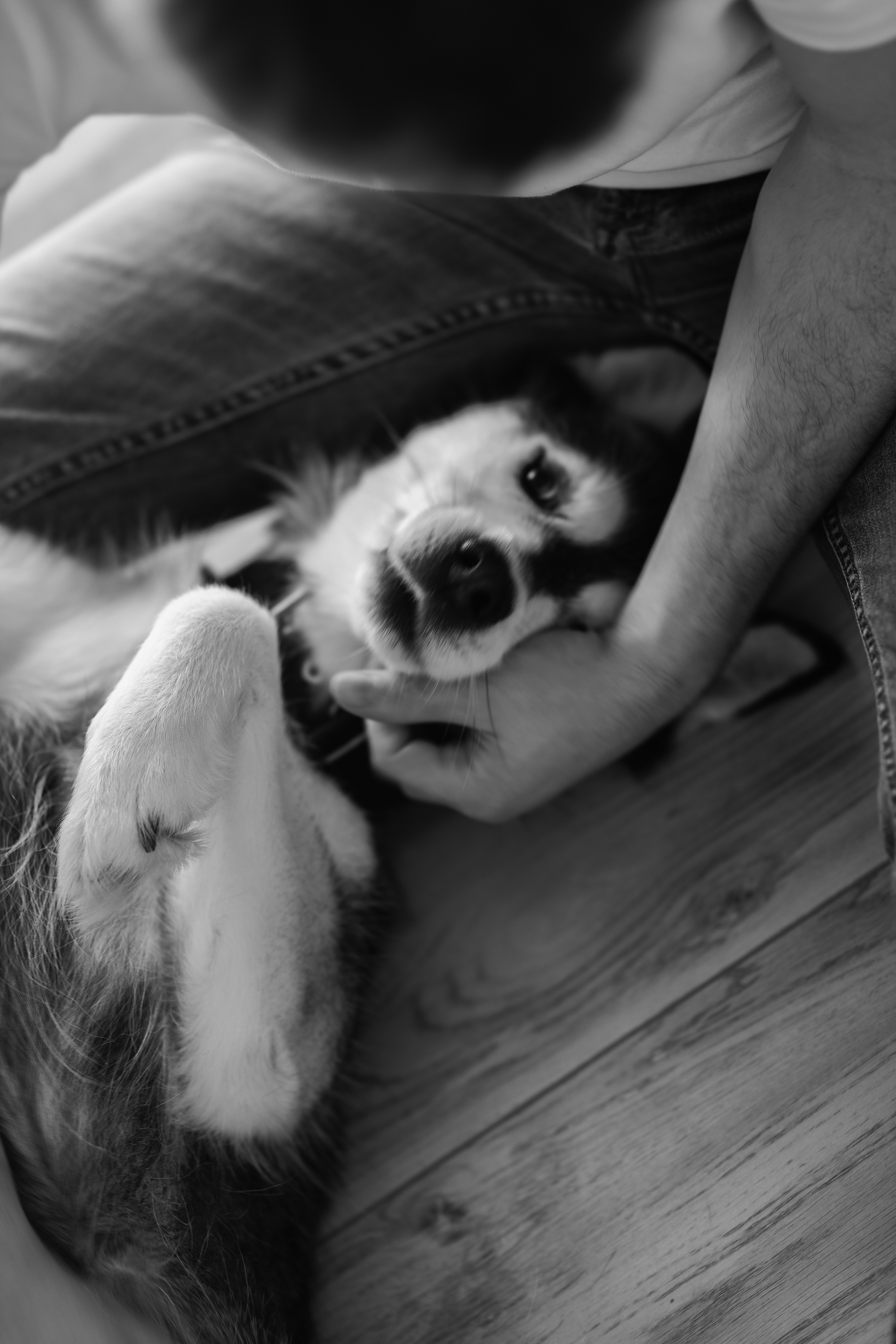 Семья. Ваня, Стёпа, Полина, Мирослава. Пухова Татьяна фотограф в Перми