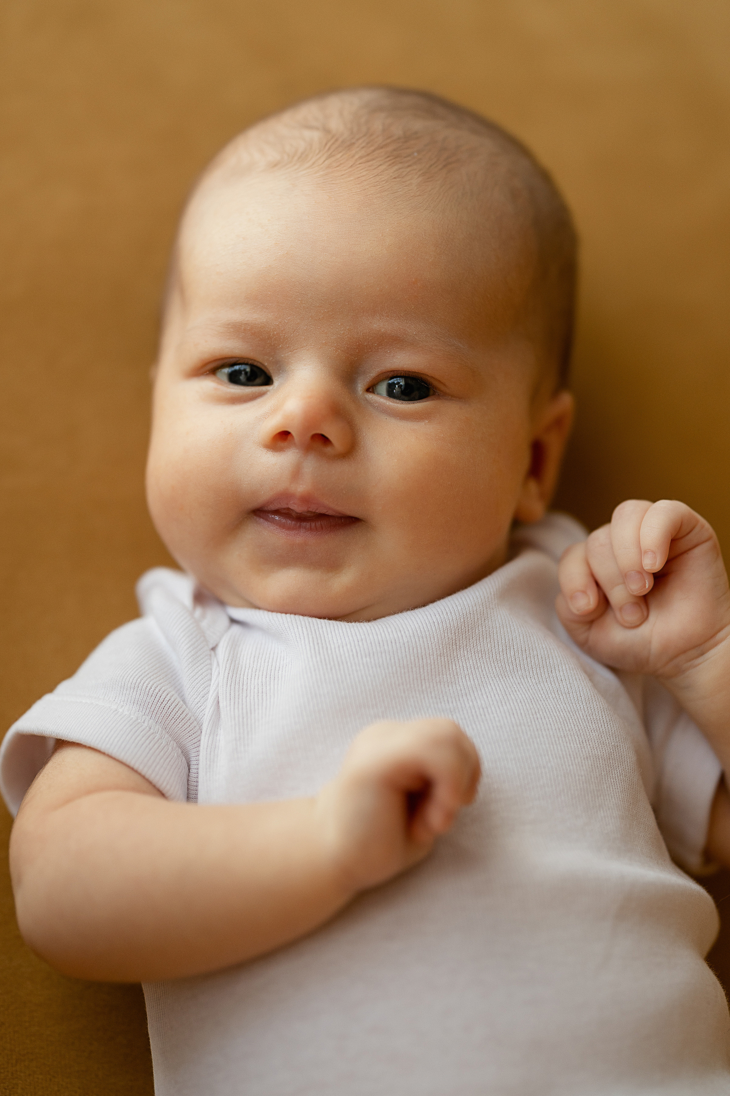 Семья. Ваня, Стёпа, Полина, Мирослава. Пухова Татьяна фотограф в Перми