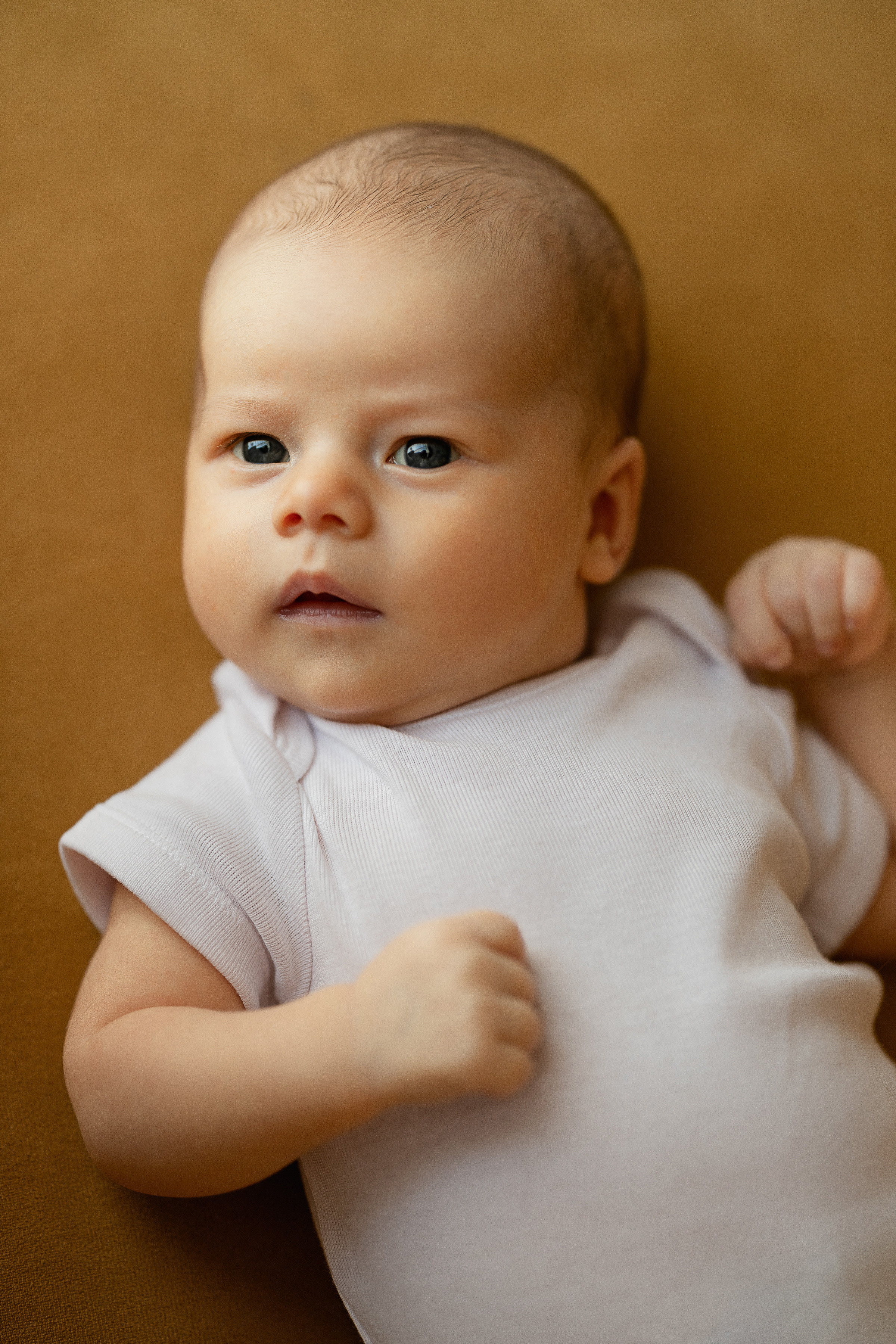 Семья. Ваня, Стёпа, Полина, Мирослава. Пухова Татьяна фотограф в Перми