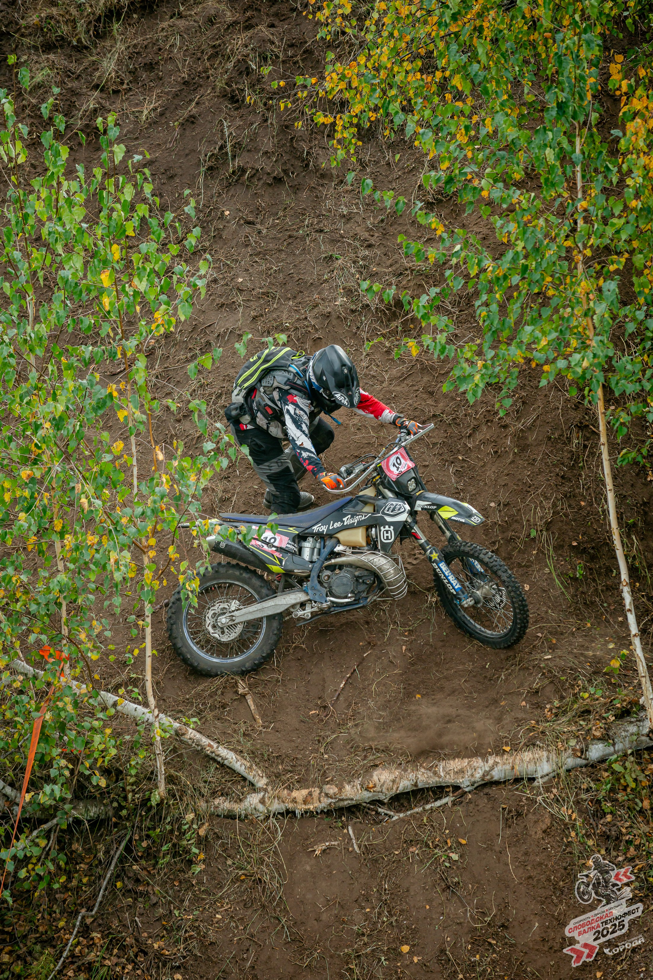 Слободская балка 2025. Фотограф | Макс Борода