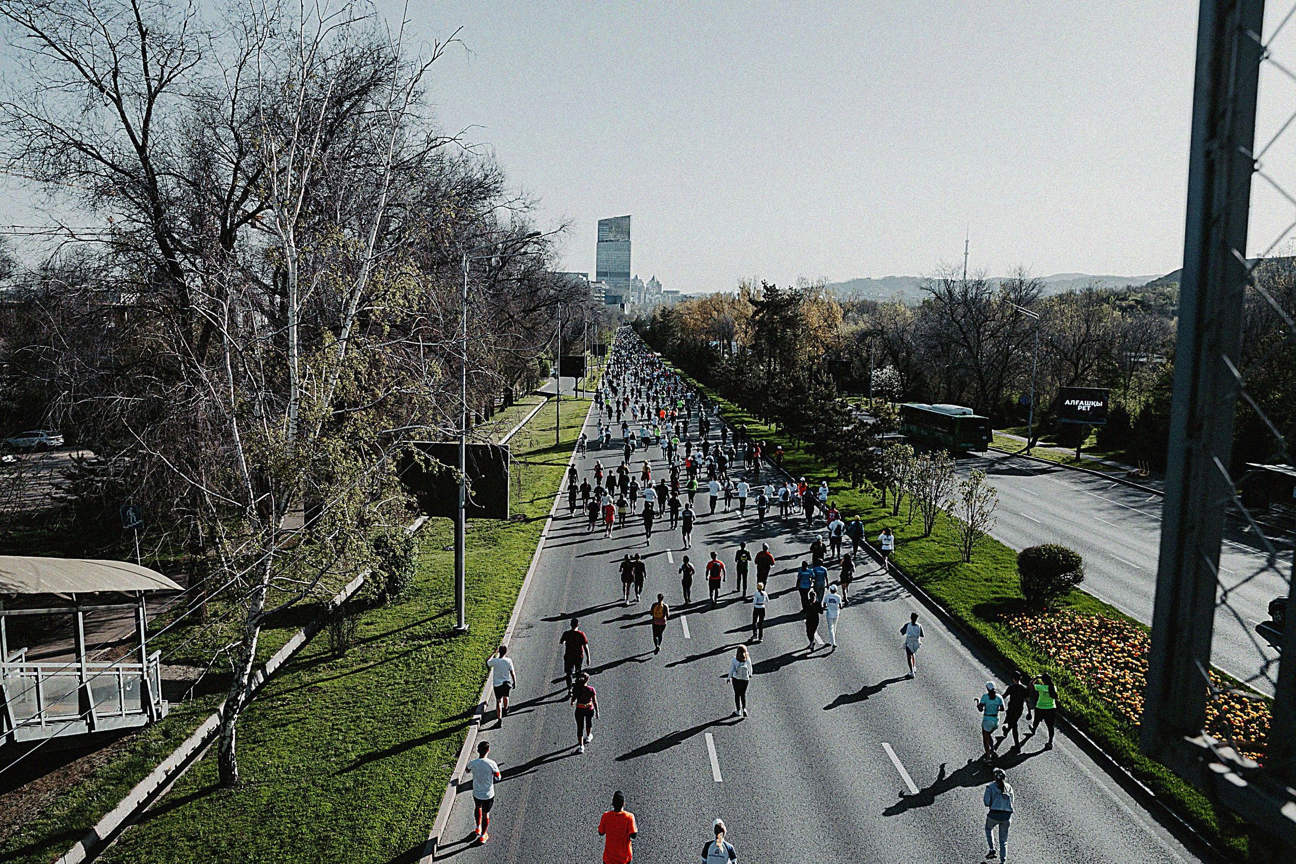 Алматинский Полумарафон 2024. Свадебный, семейный и портретный фотограф в Алматы, Костанай