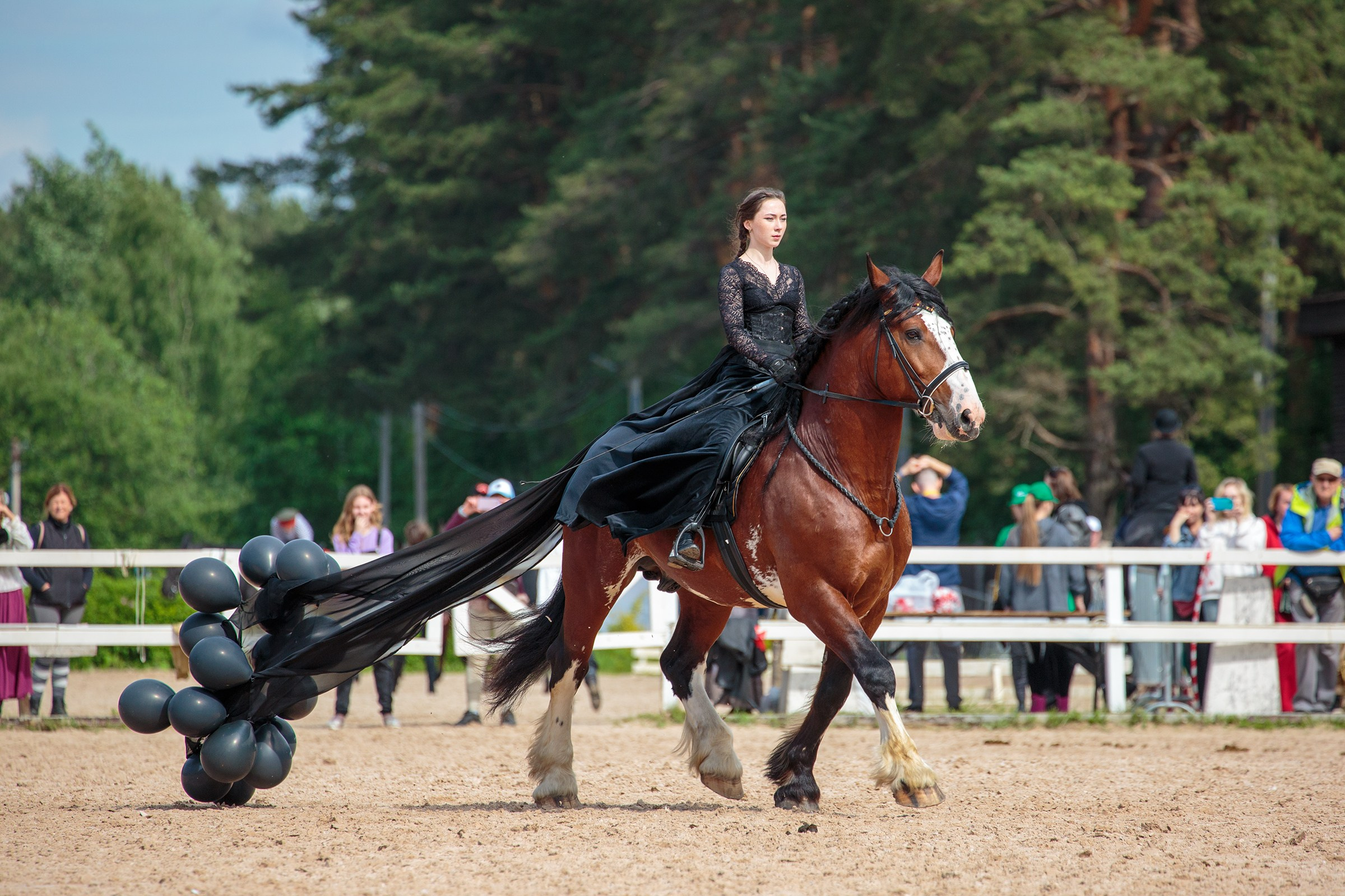 Иппосфера 2024. Irenephoto.ru
