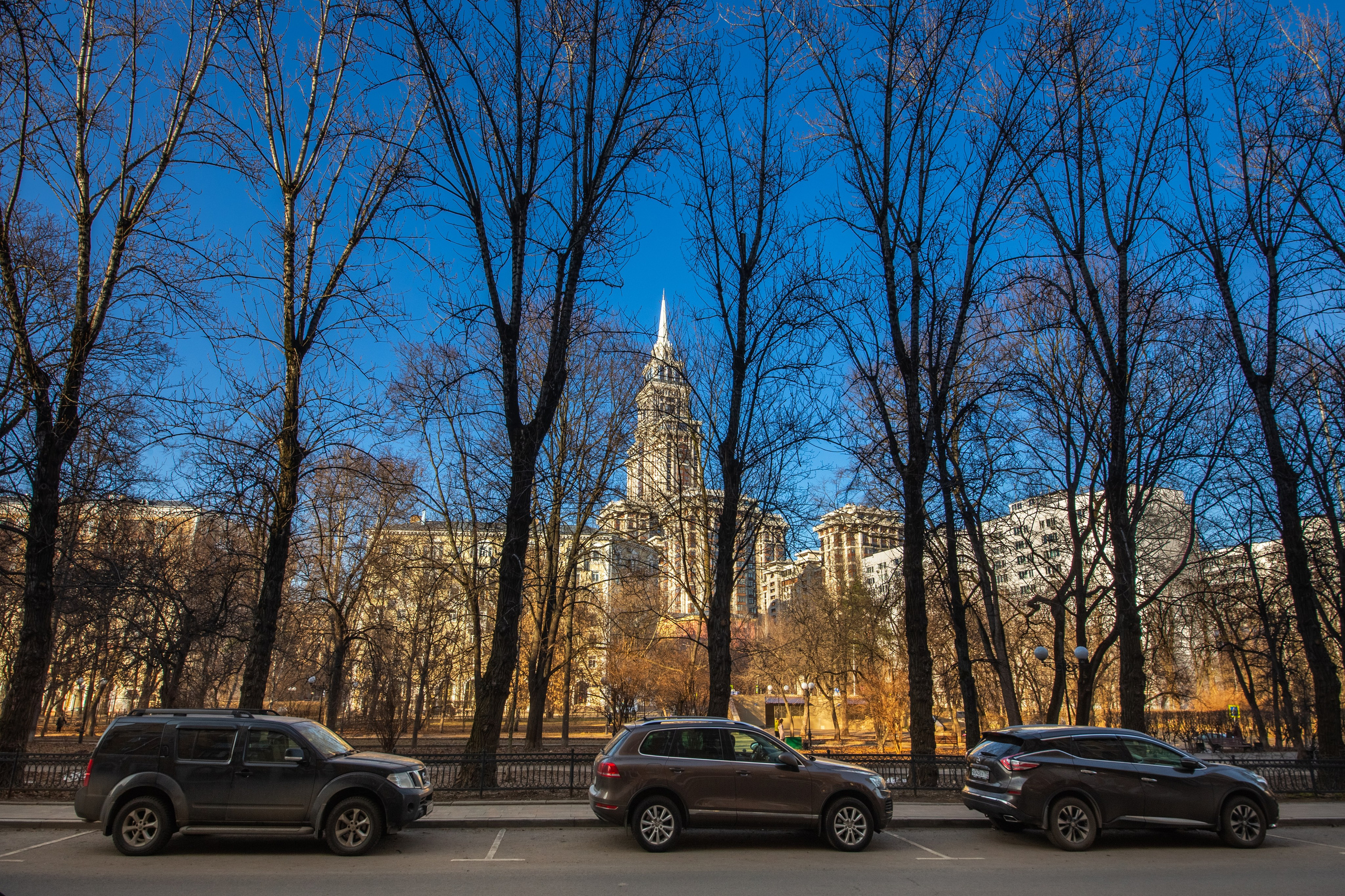 Экстерьер. Фотограф Лагутин Анатолий