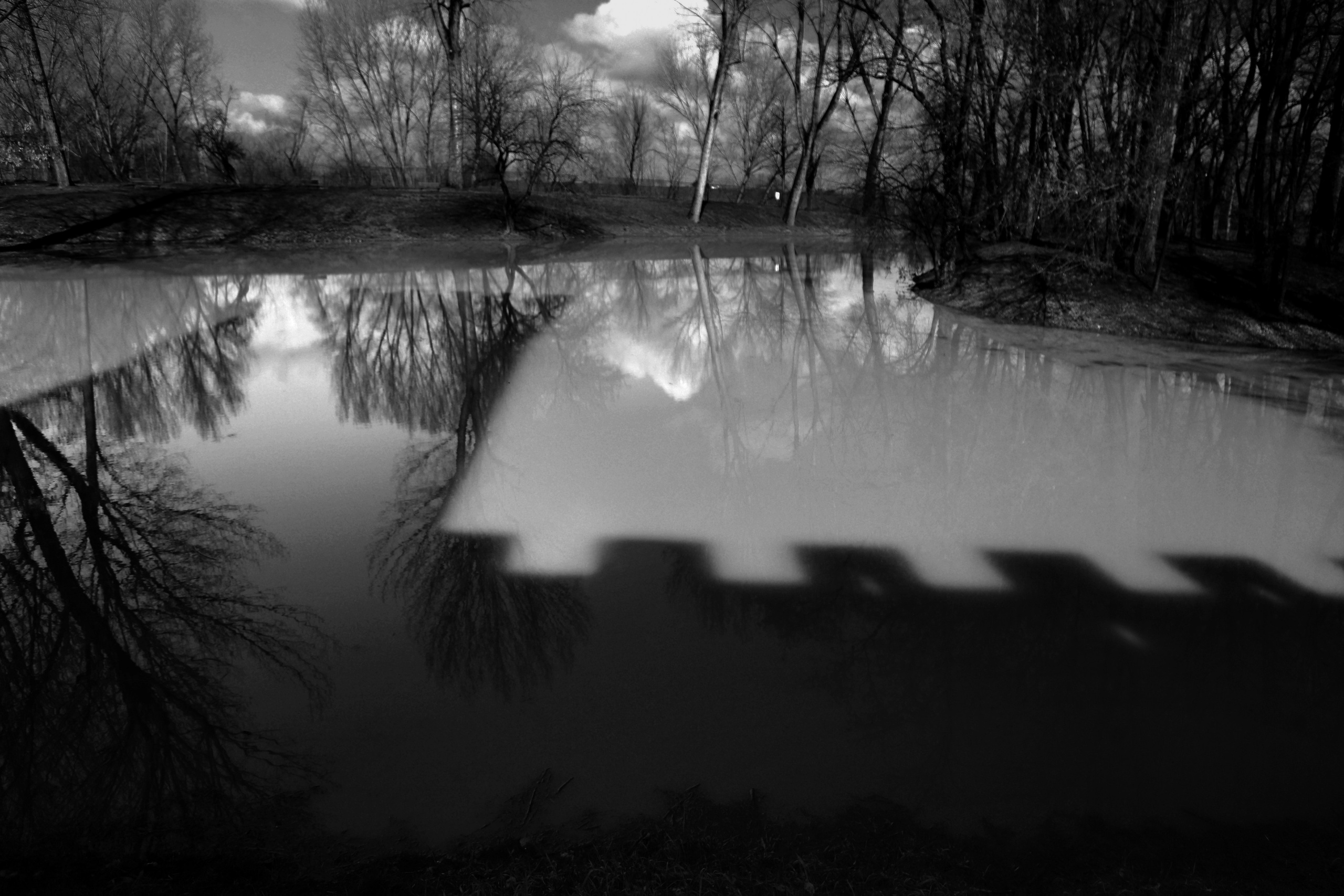 Фото. Фотограф Лагутин Анатолий