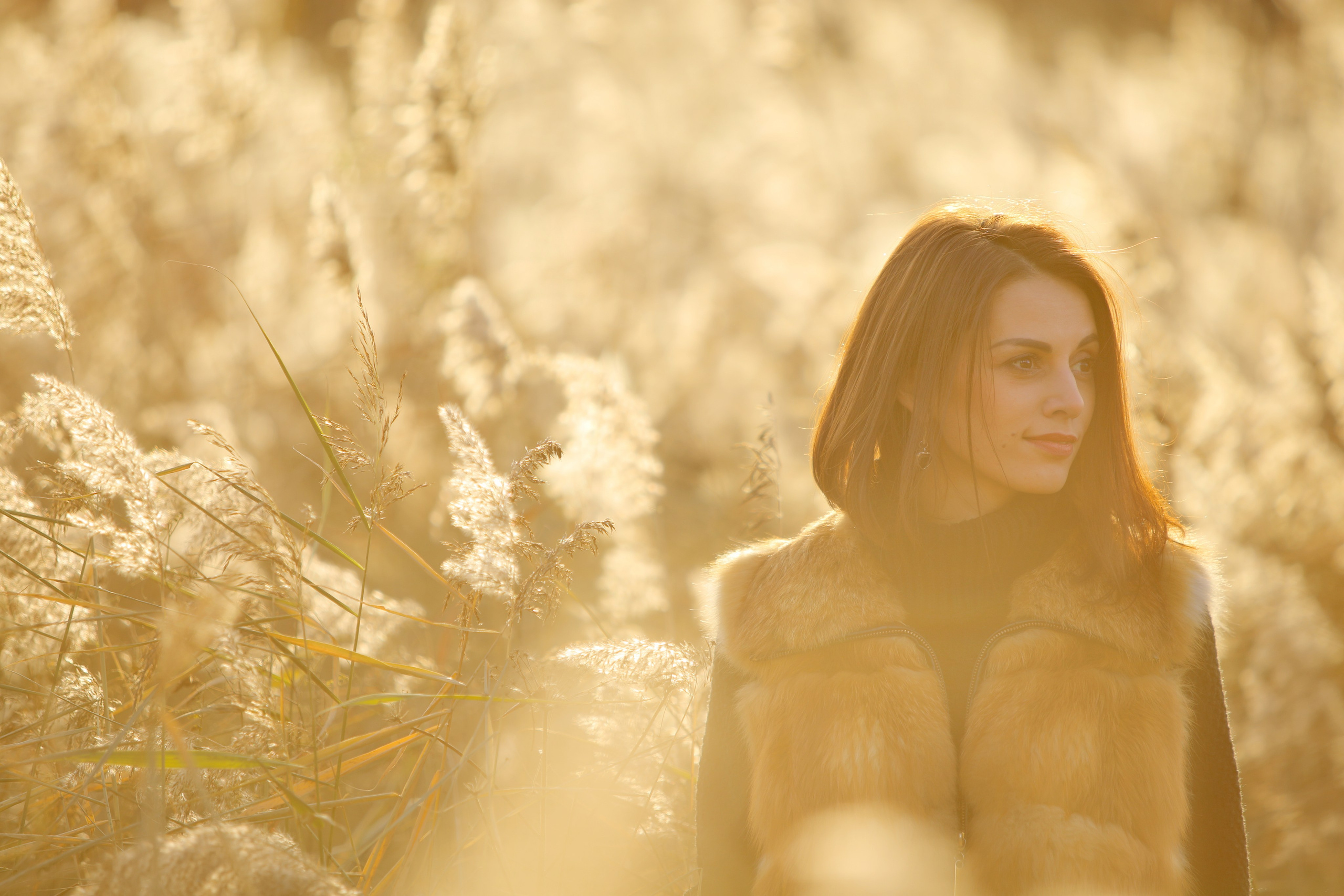 Прогулка. Фотограф Лагутин Анатолий