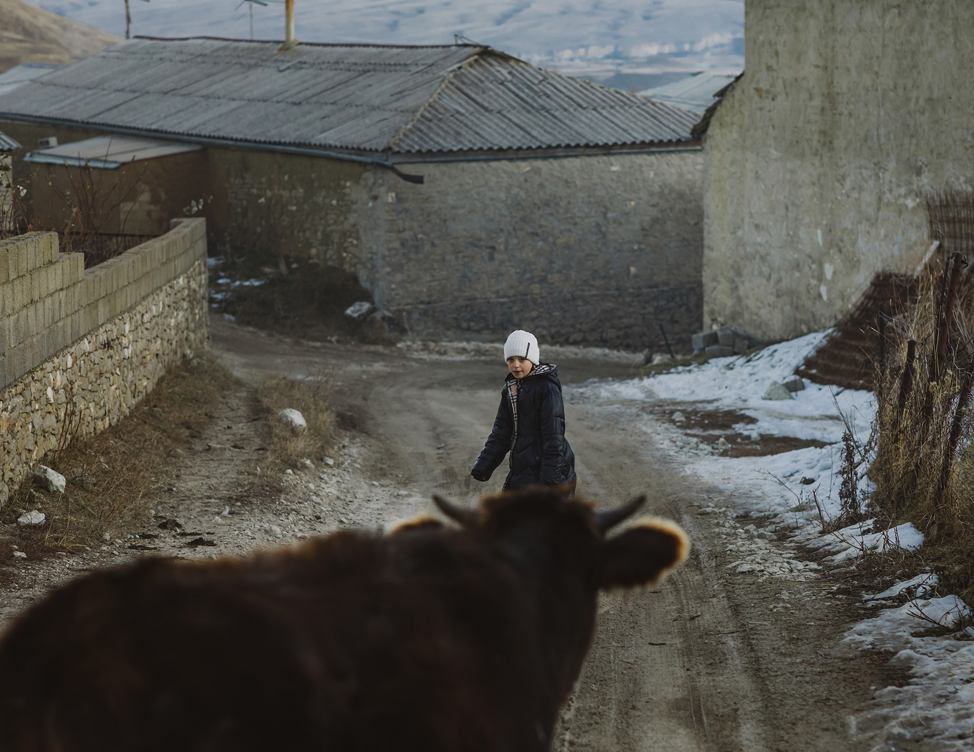 Dagestan. Seasons. Autumn. Documentary and art photographer Alexey Terentyev