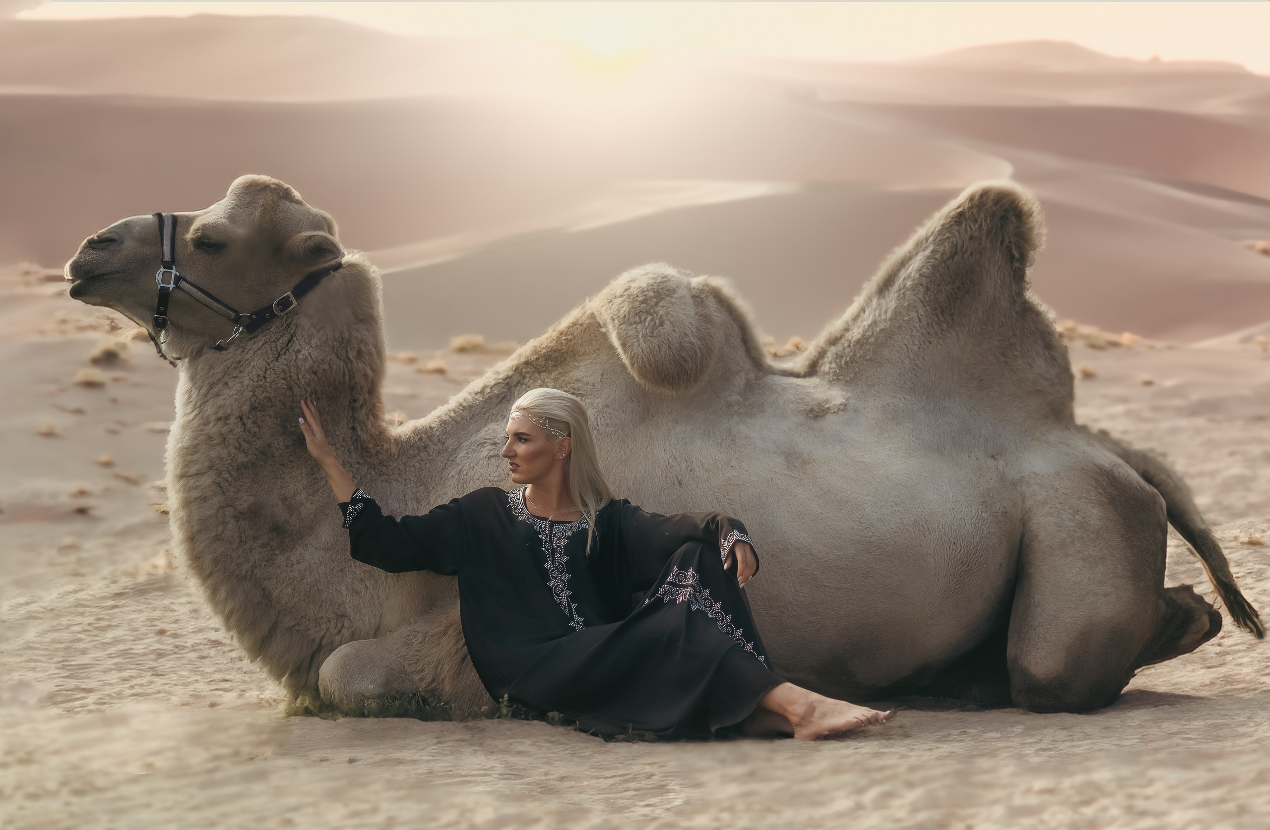 Разные животные. Профессиональный фотограф в Москве Марина Григорьева