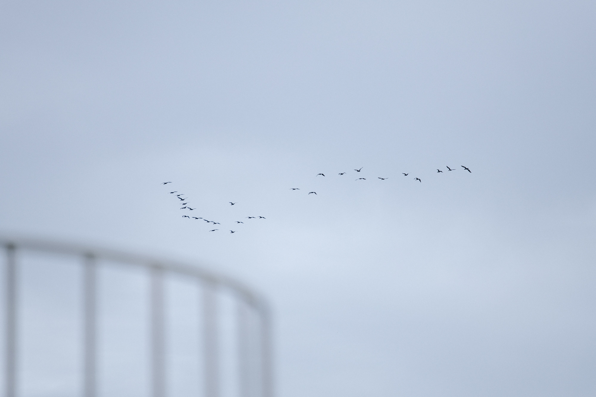 Люби меня, люби. Свадебный фотограф в Воронеже Екатерина Краснова