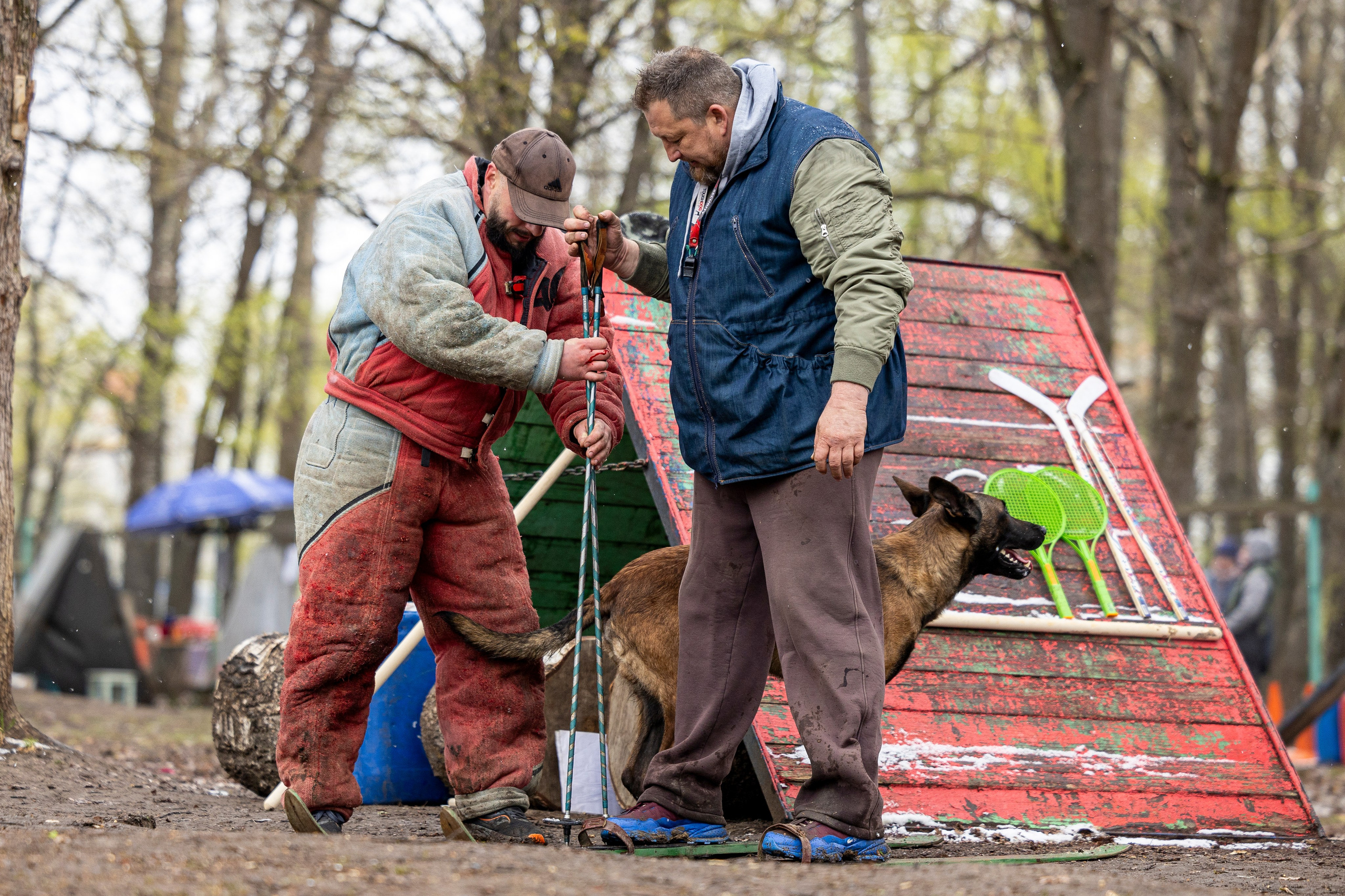 Квалификационные состязания по мондьорингу г. Вологда 11.05.24. Фотограф-анималист Анна Маринич