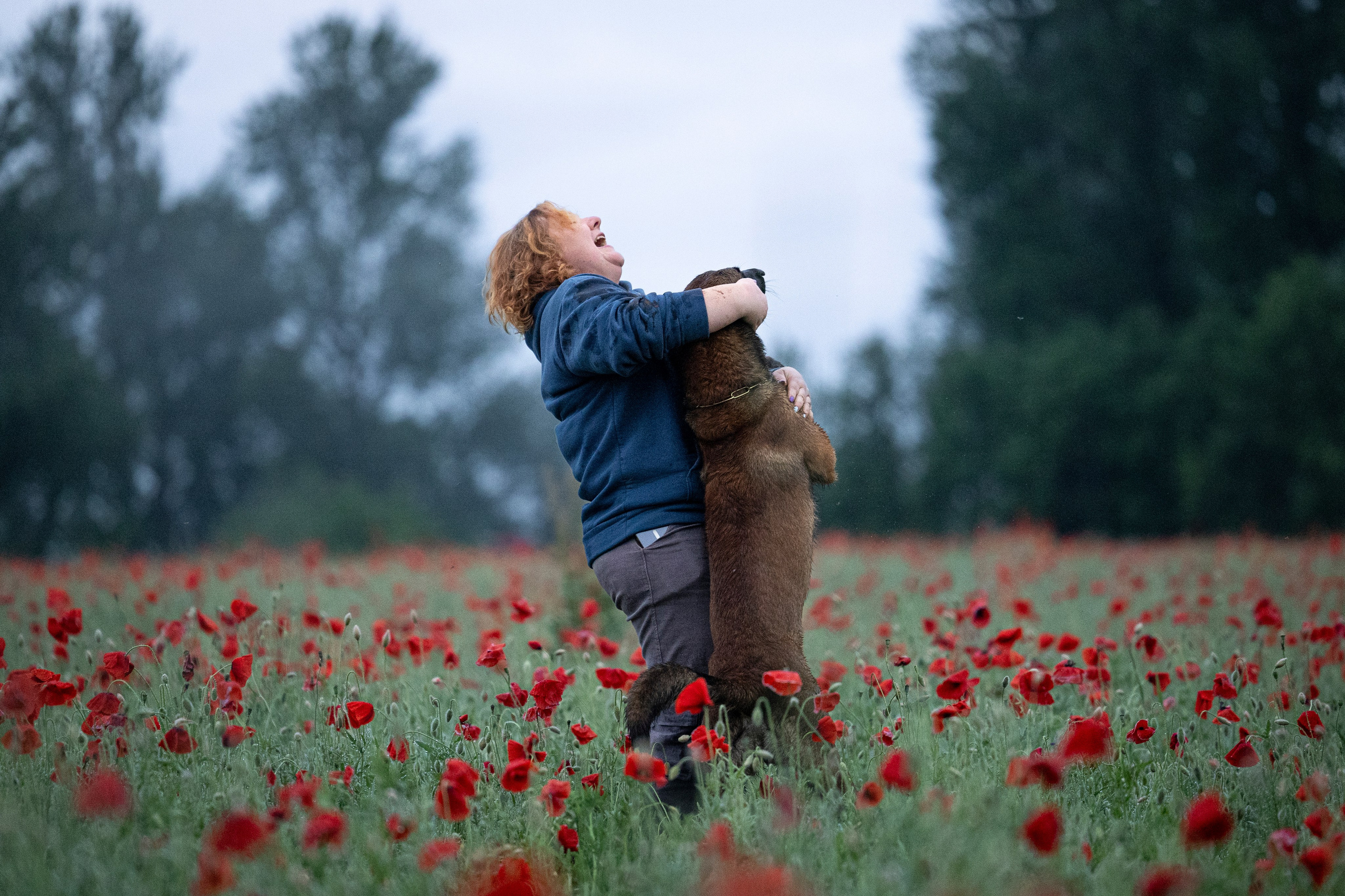 Маковое поле. Фотограф-анималист Анна Маринич