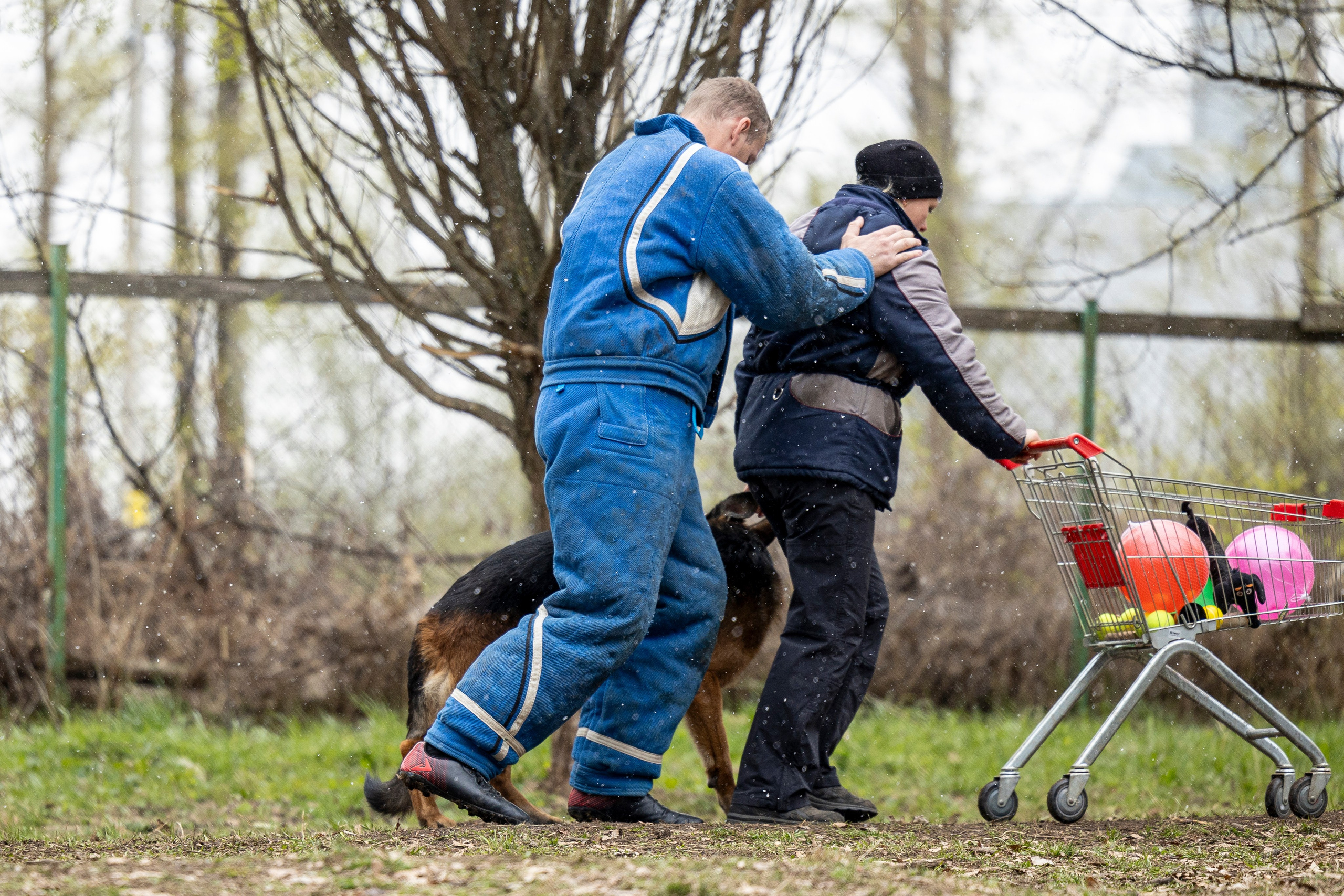Квалификационные состязания по мондьорингу г. Вологда 11.05.24. Фотограф-анималист Анна Маринич