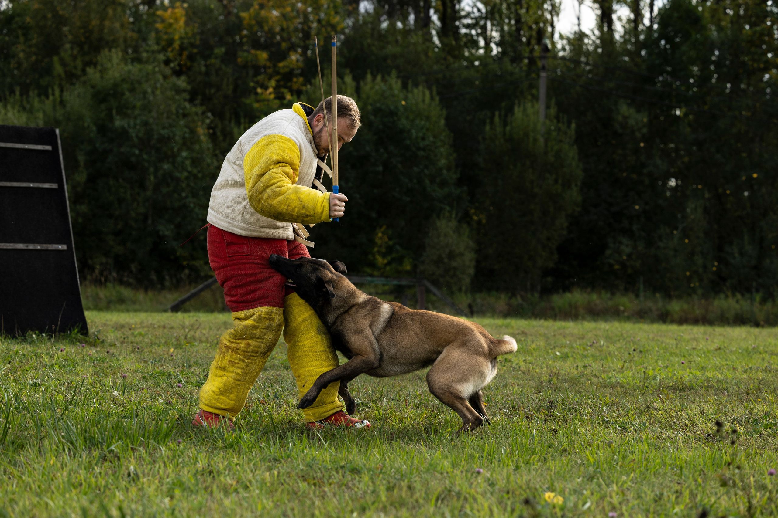 Испытания по Мондьорингу г. Пушкин. Фотограф-анималист Анна Маринич
