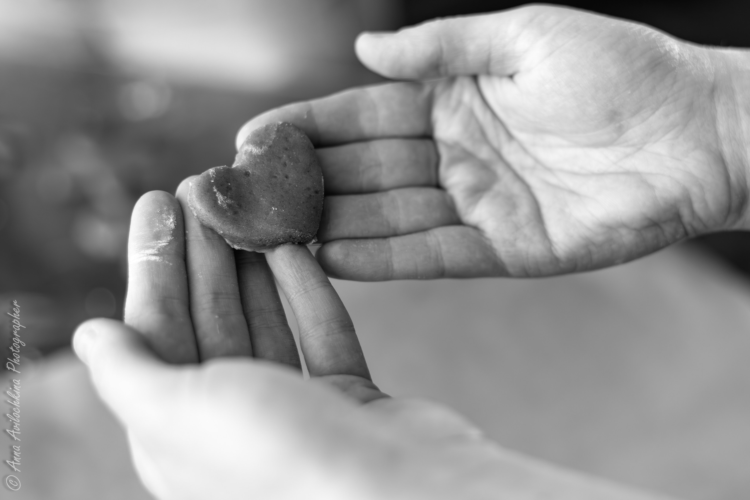 Альбомы семейных фотосессий. Семейный и свадебный фотограф в Москве и Домодедово Анна Авилочкина