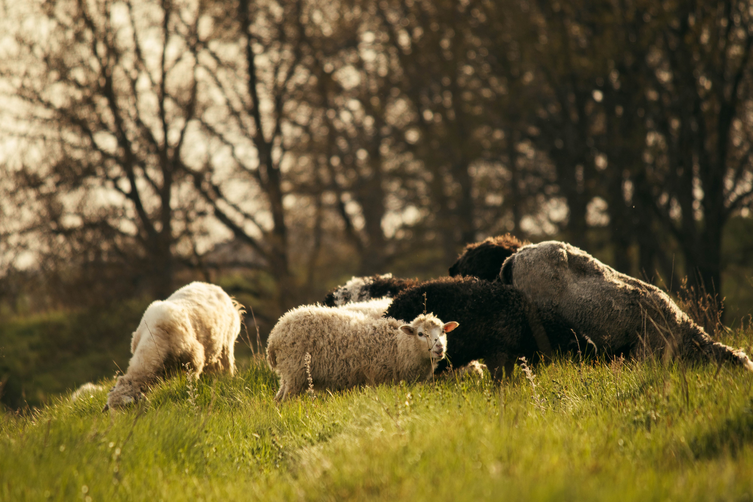 Сокольская гора. Фотограф и видеограф в Бугульме Аня Трутнева