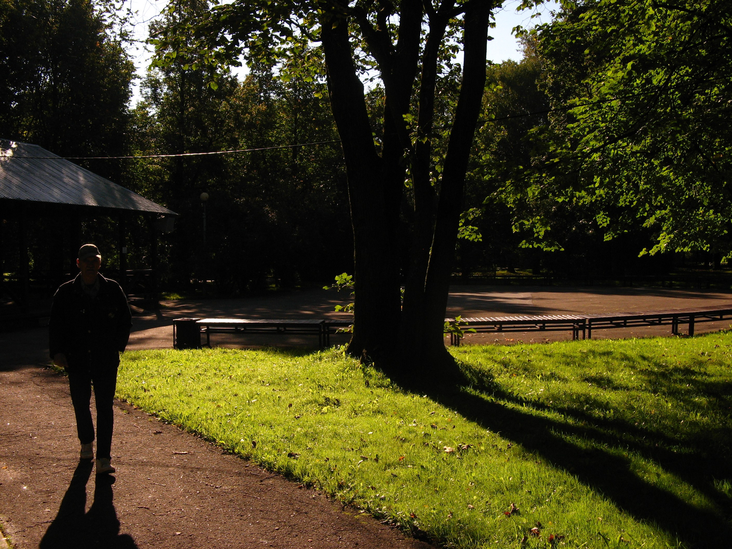 Сентябрь 2025. Den Mirov — Фотограф, Музыкант