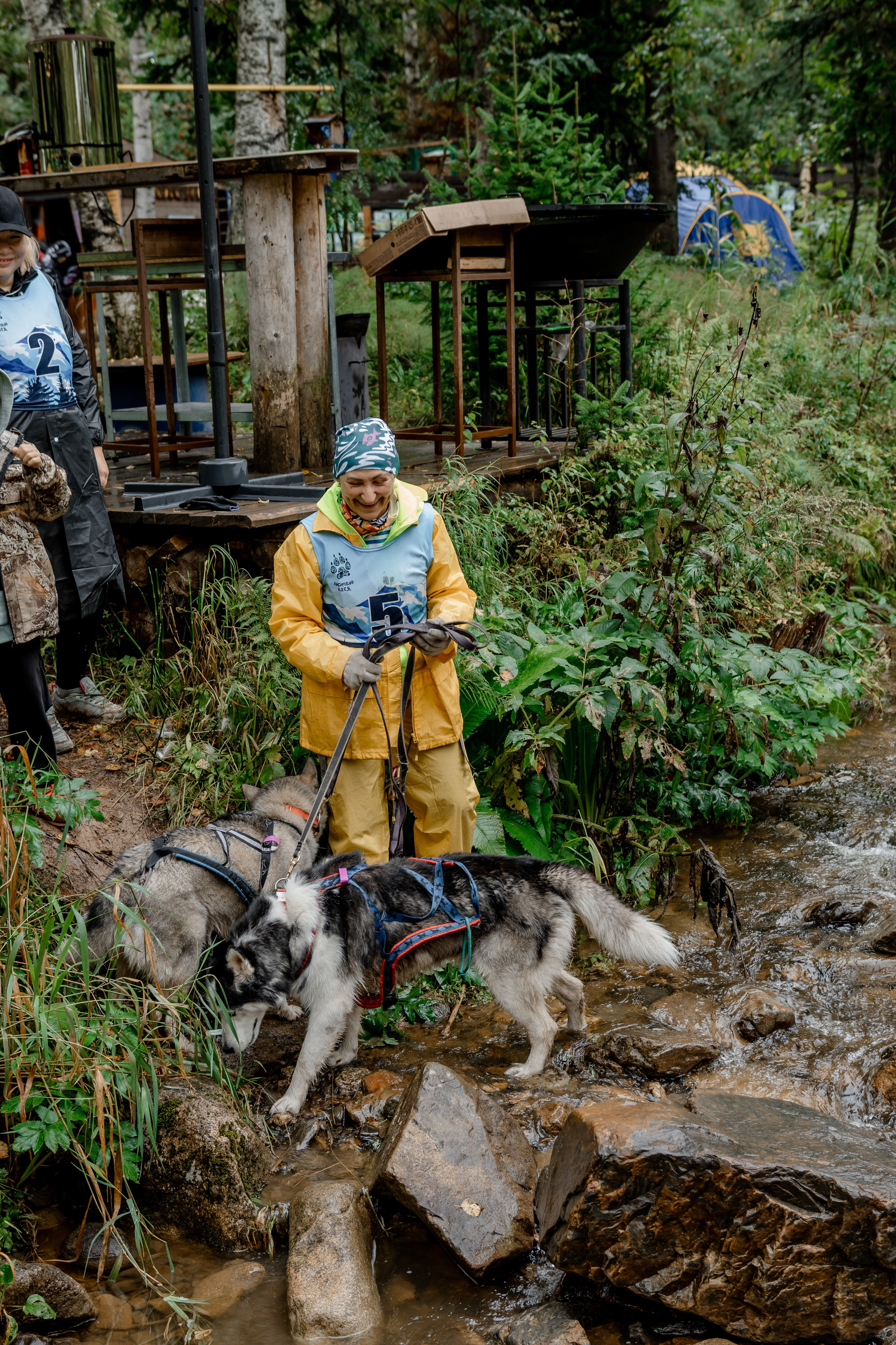 Дог-треккинг