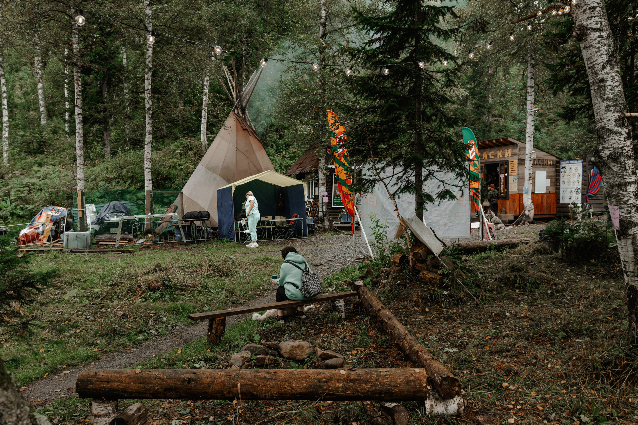 Дог-треккинг