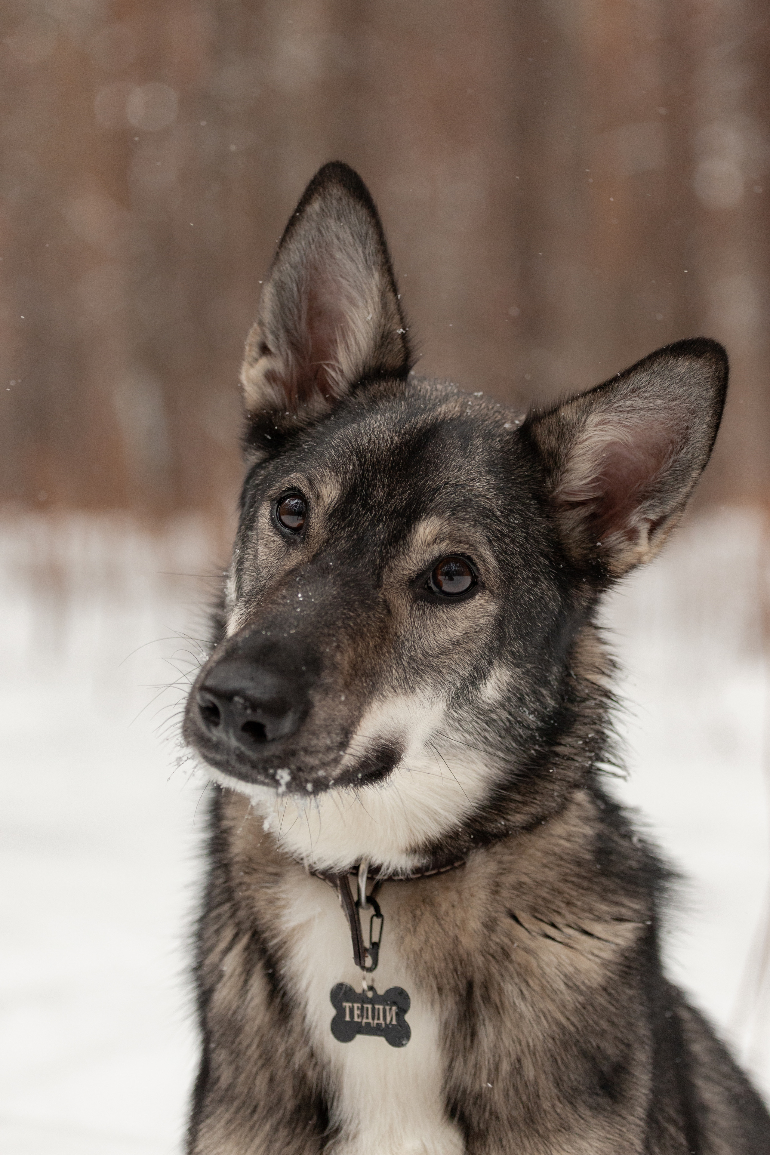 Animals. Креативный фотограф в Екатеринбурге Юлия Николотова