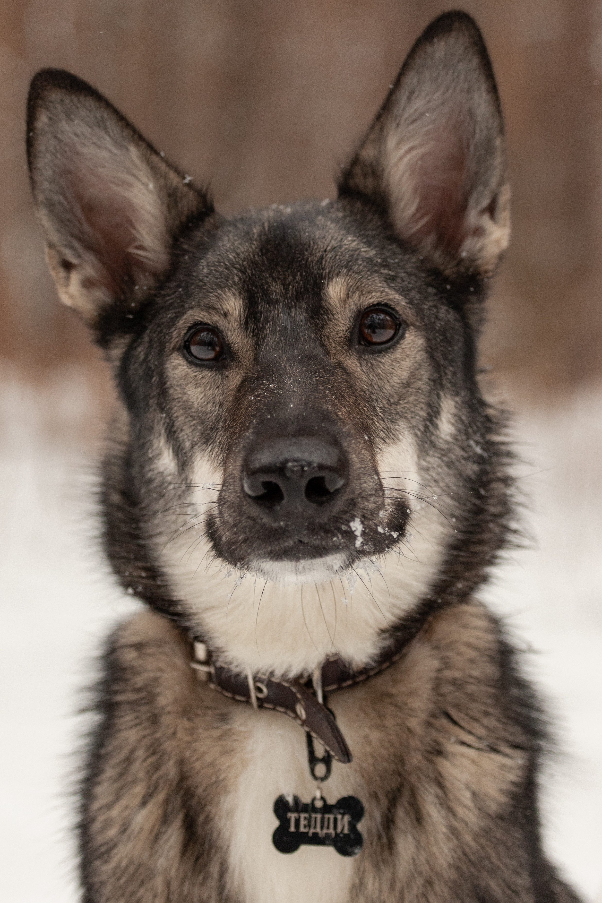 Animals. Креативный фотограф в Екатеринбурге Юлия Николотова