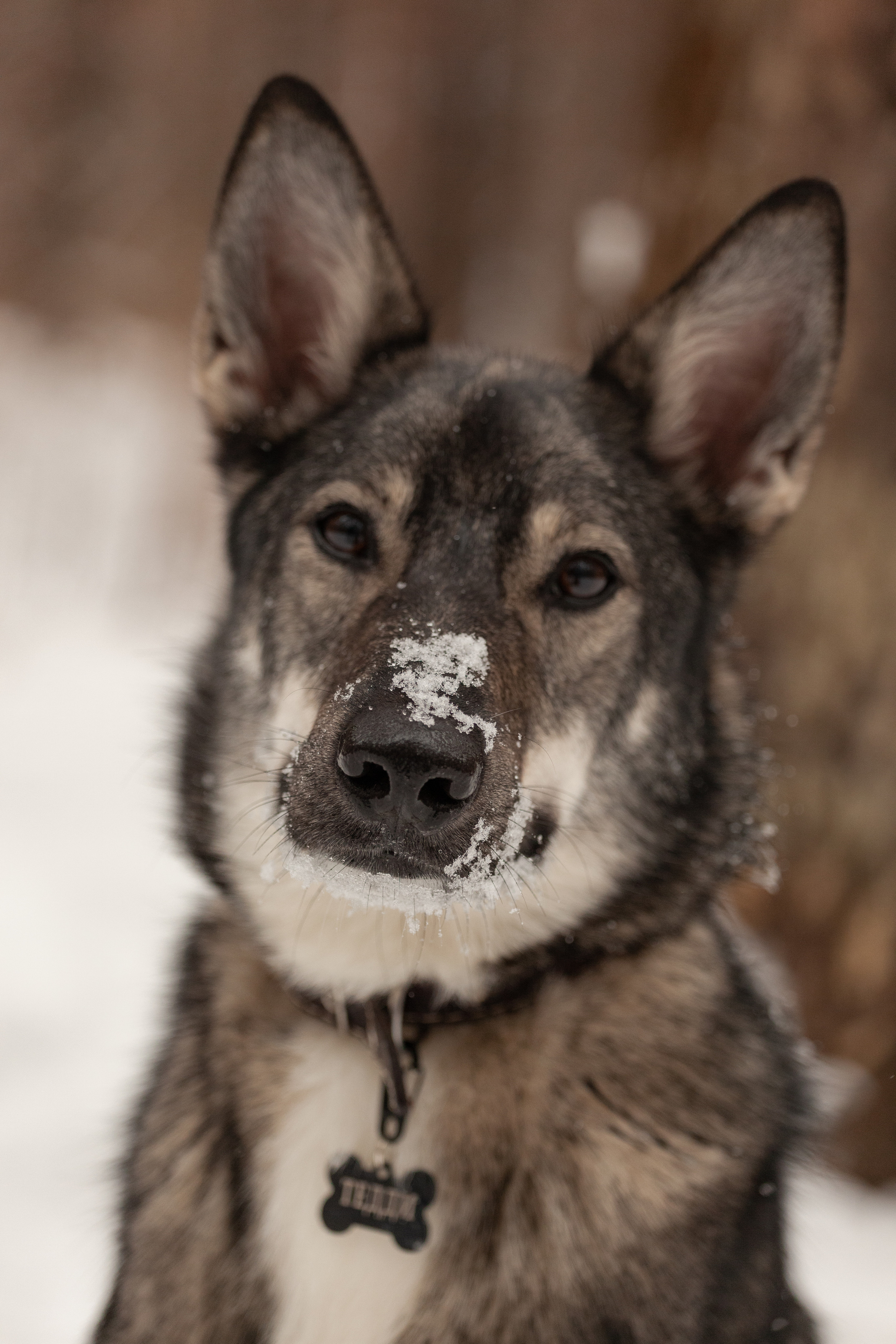 Animals. Креативный фотограф в Екатеринбурге Юлия Николотова