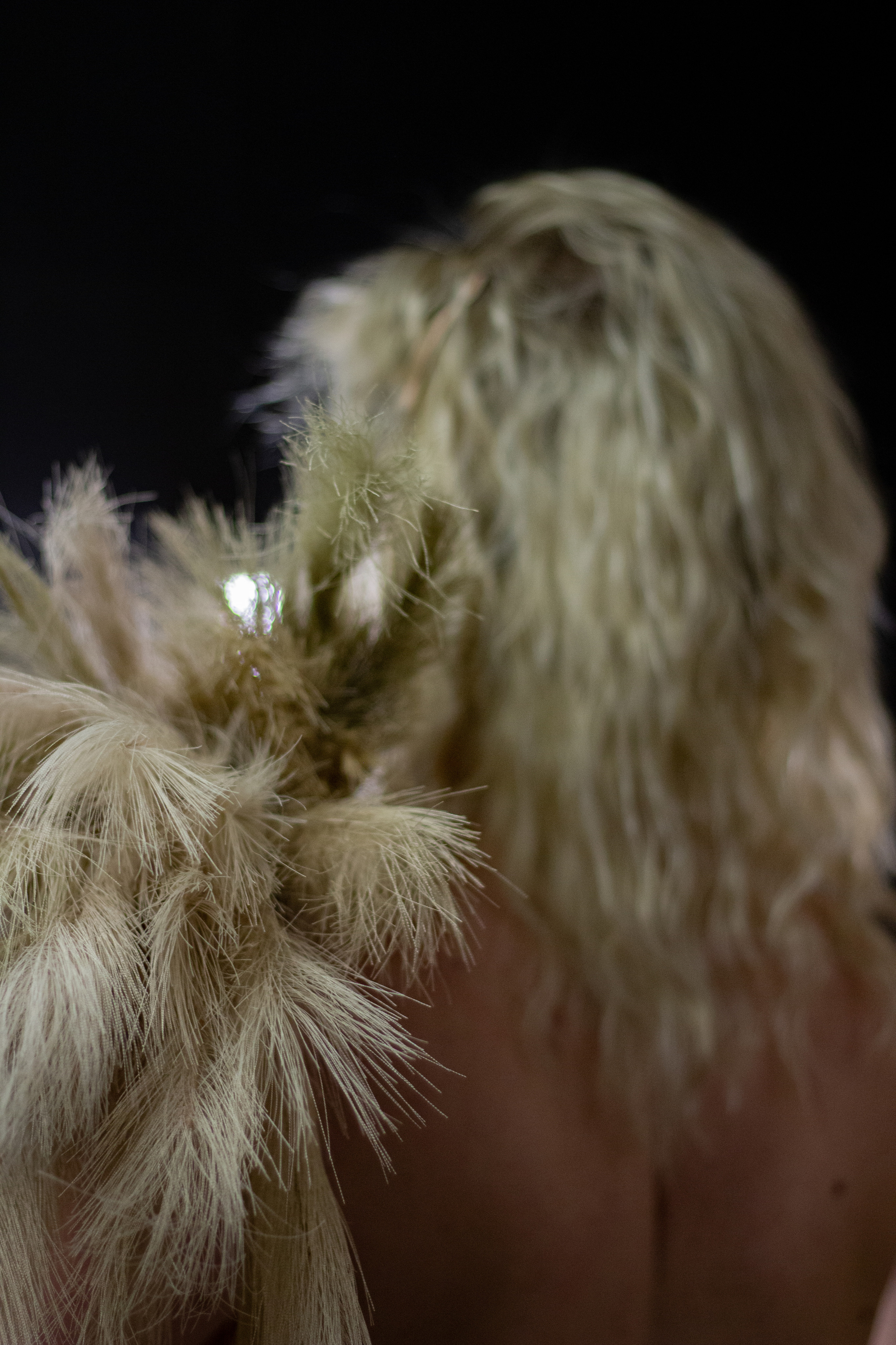 Creative. Креативный фотограф в Екатеринбурге Юлия Николотова