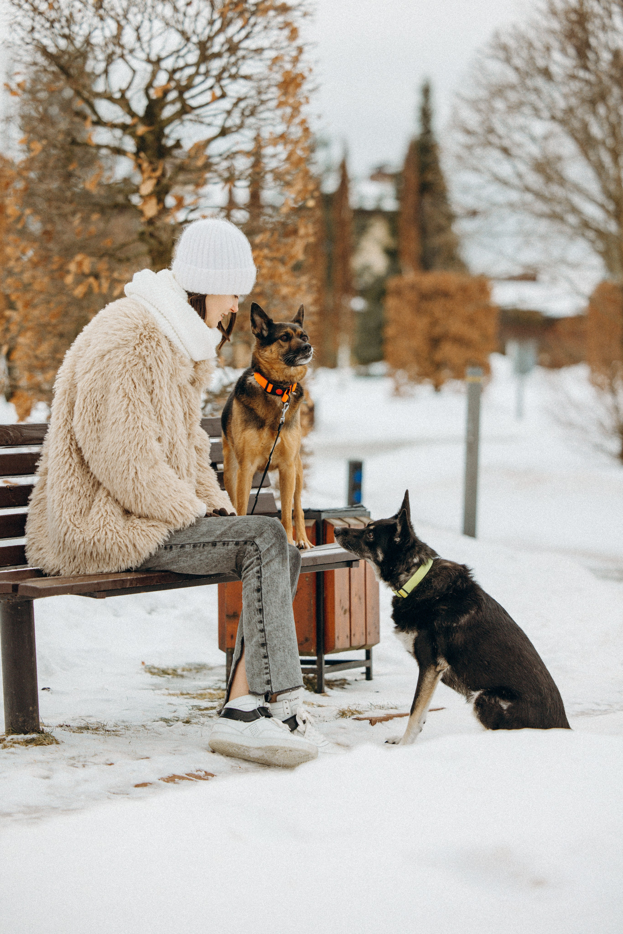 Ника, Матиша и Герда. Фотограф-анималист в Москве Лера Черноног