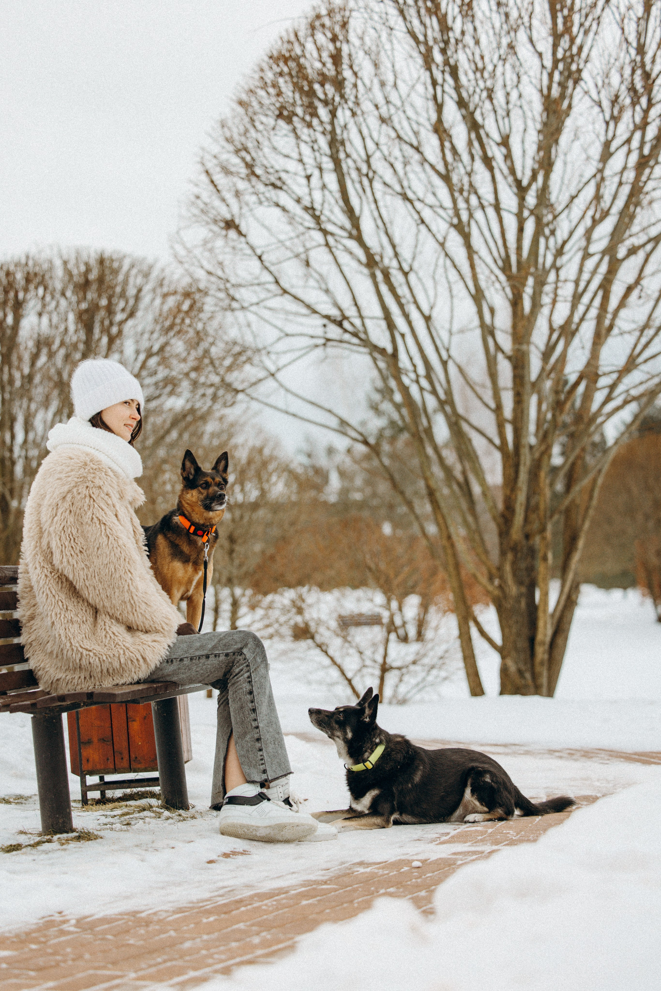 Ника, Матиша и Герда. Фотограф-анималист в Москве Лера Черноног