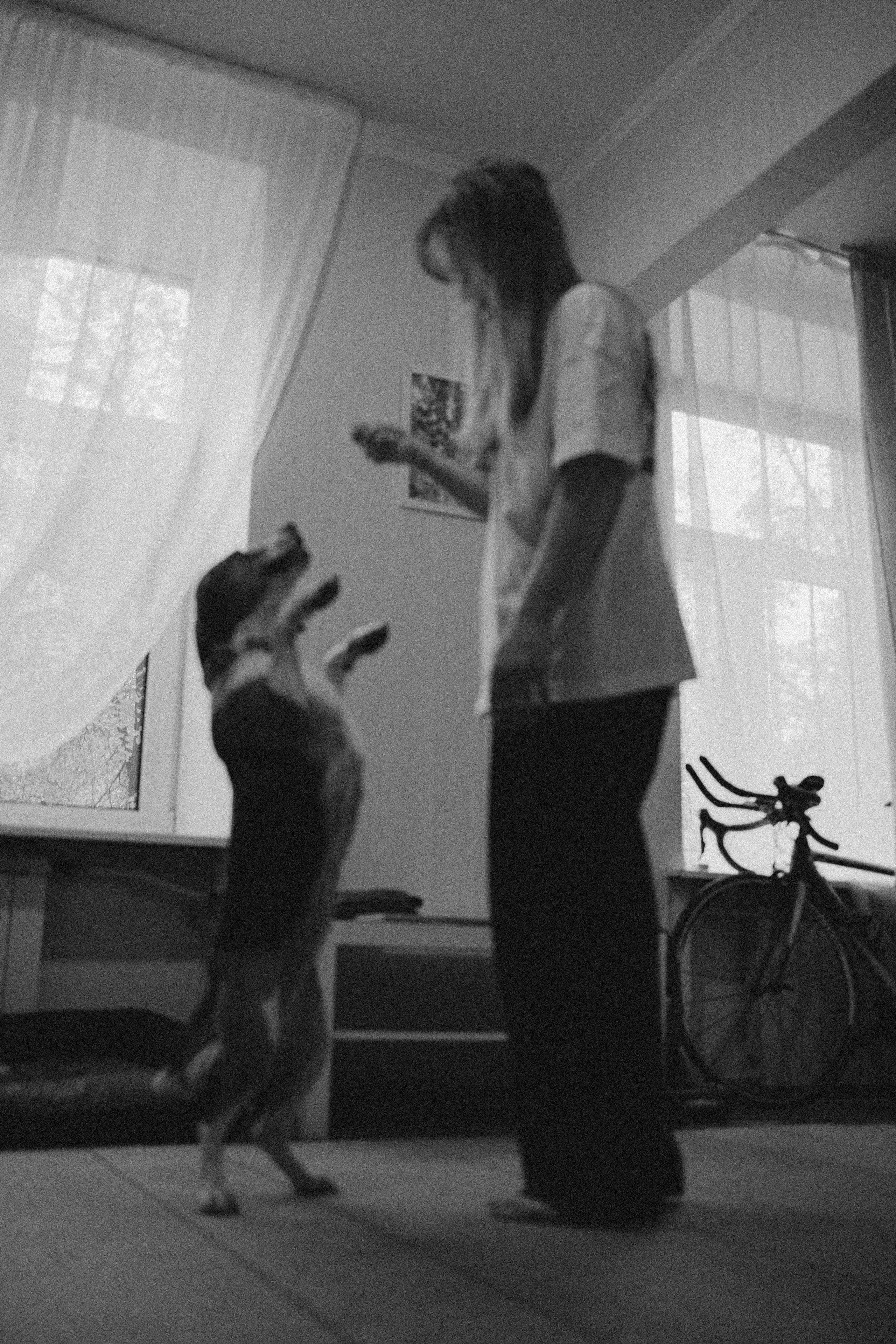 Света и Ива. Фотограф-анималист в Москве Лера Черноног