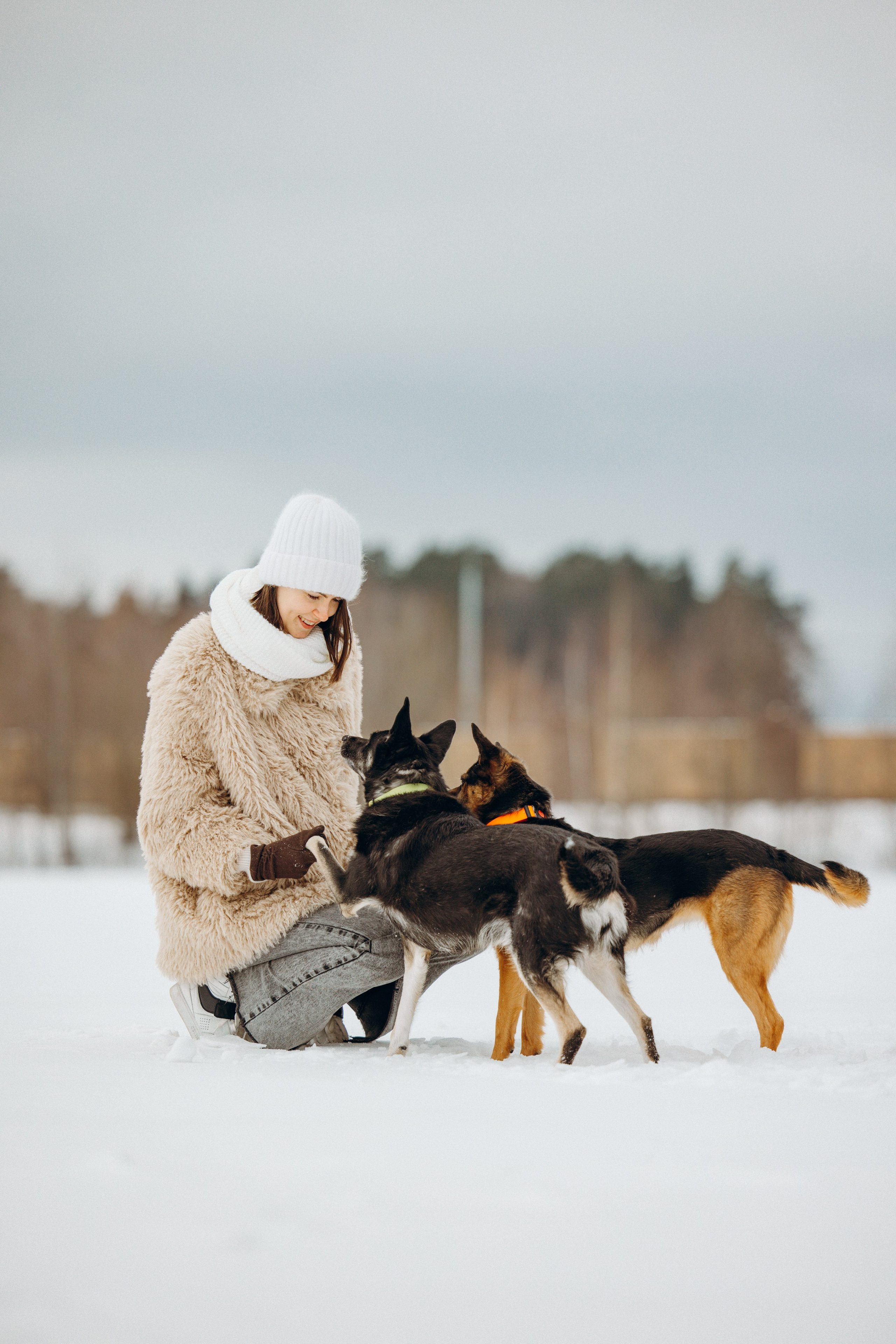 Ника, Матиша и Герда. Фотограф-анималист в Москве Лера Черноног