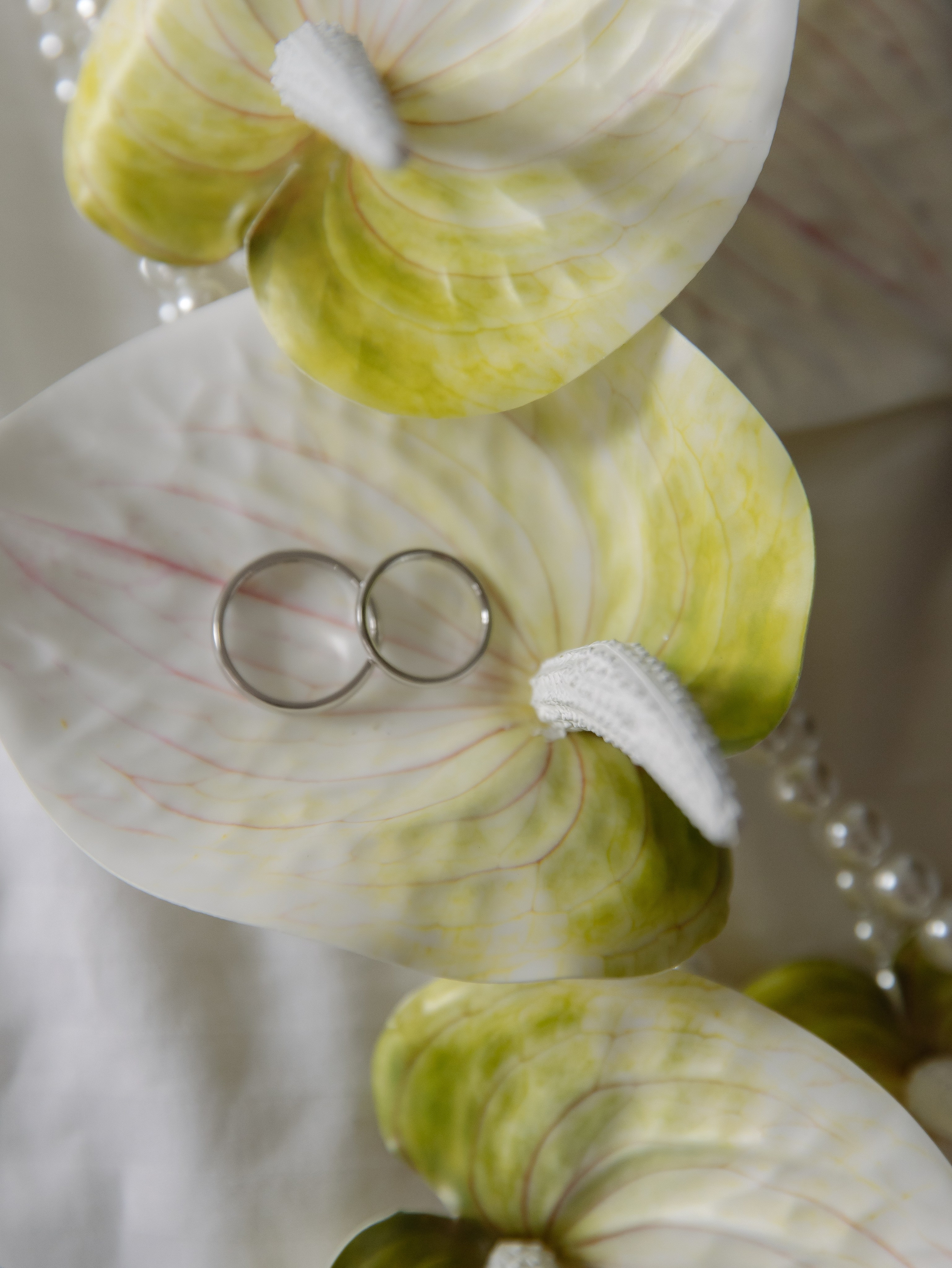 Свадьба в Санкт Петербурге Юля и Андрей. СВАДЕБНЫЙ ФОТОГРАФ ЧЕЛЯБИНСК